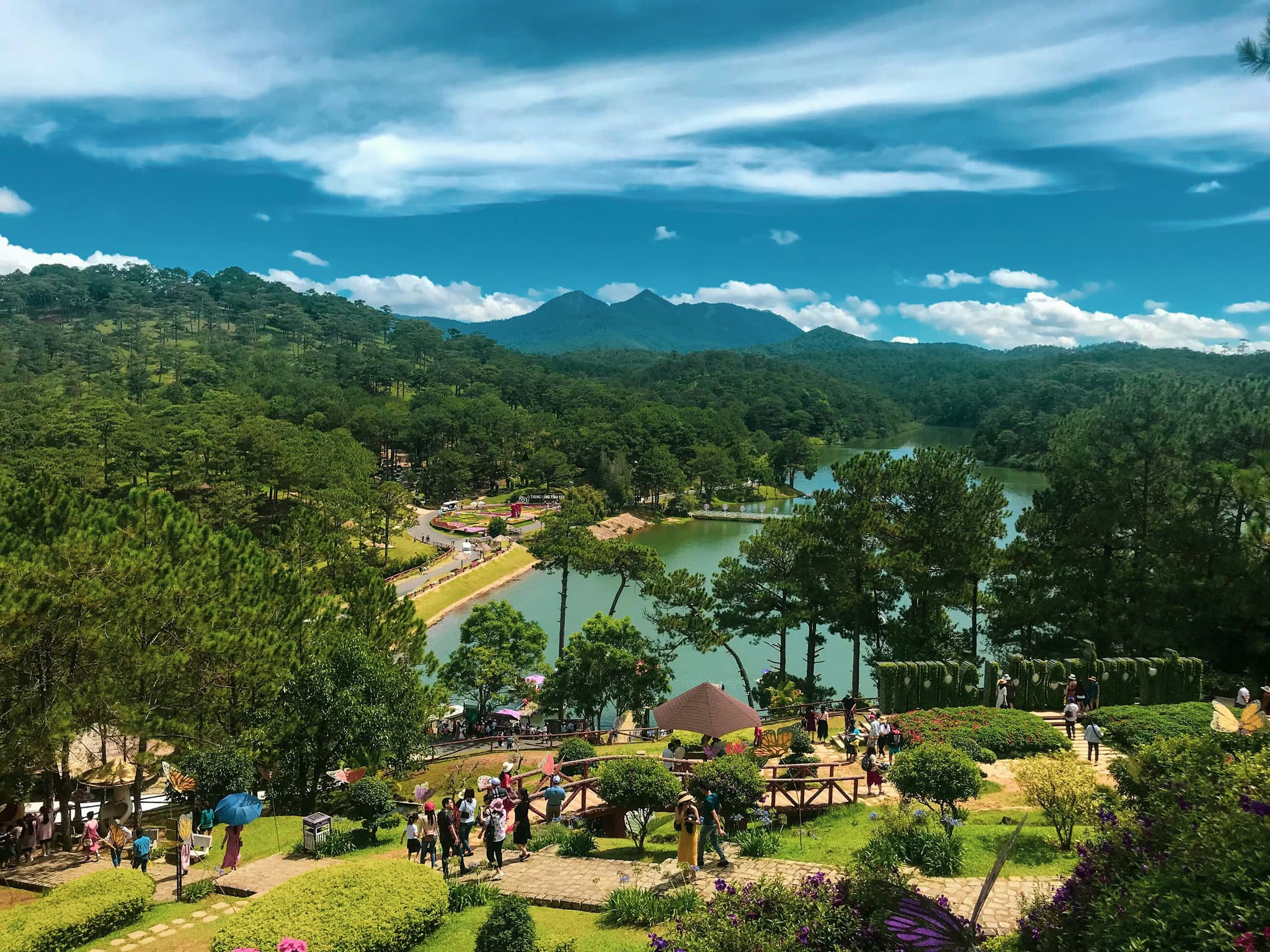 Da lat from above, trees and a lake and a mountain far away