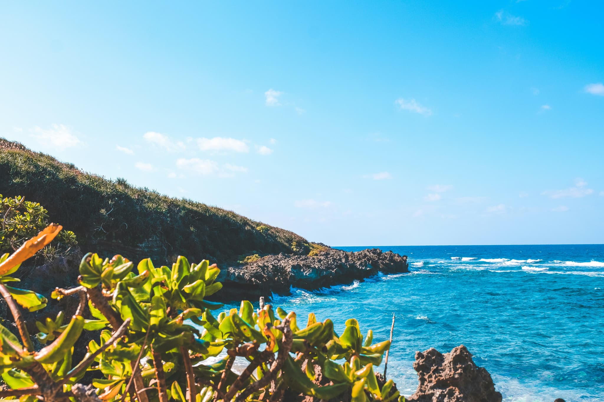 Green plants in foreground in front of turqoise water and green hill in Okinawa