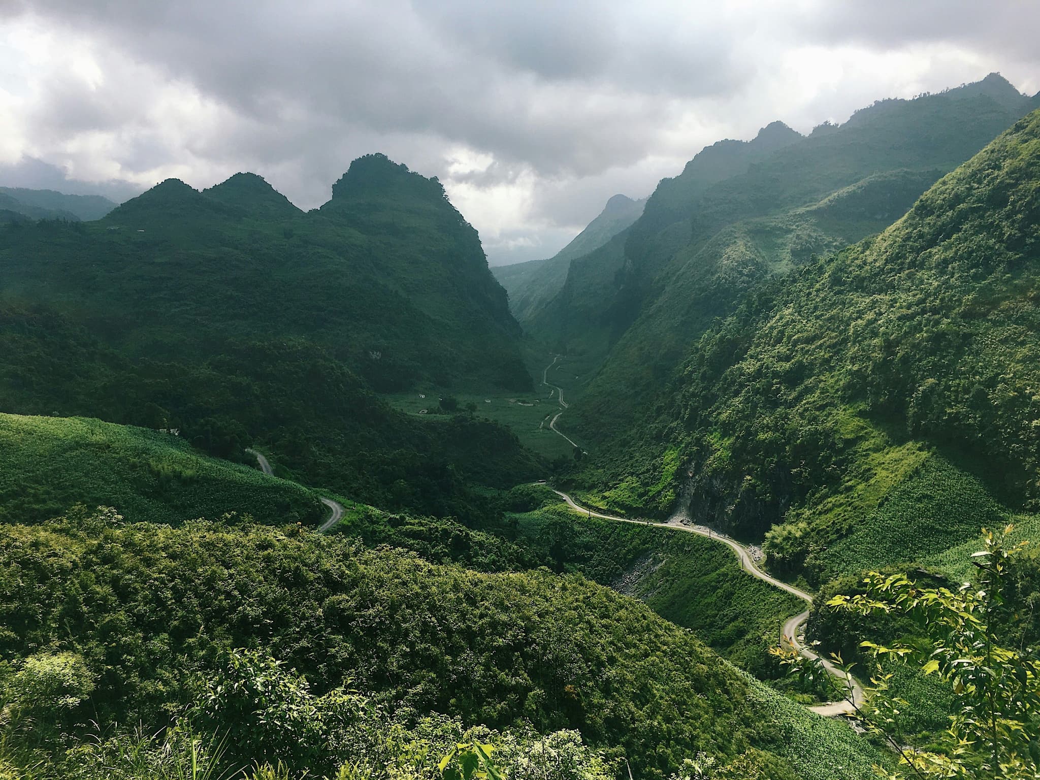 A windy road in Ha Giang surrounded by high green miuntains