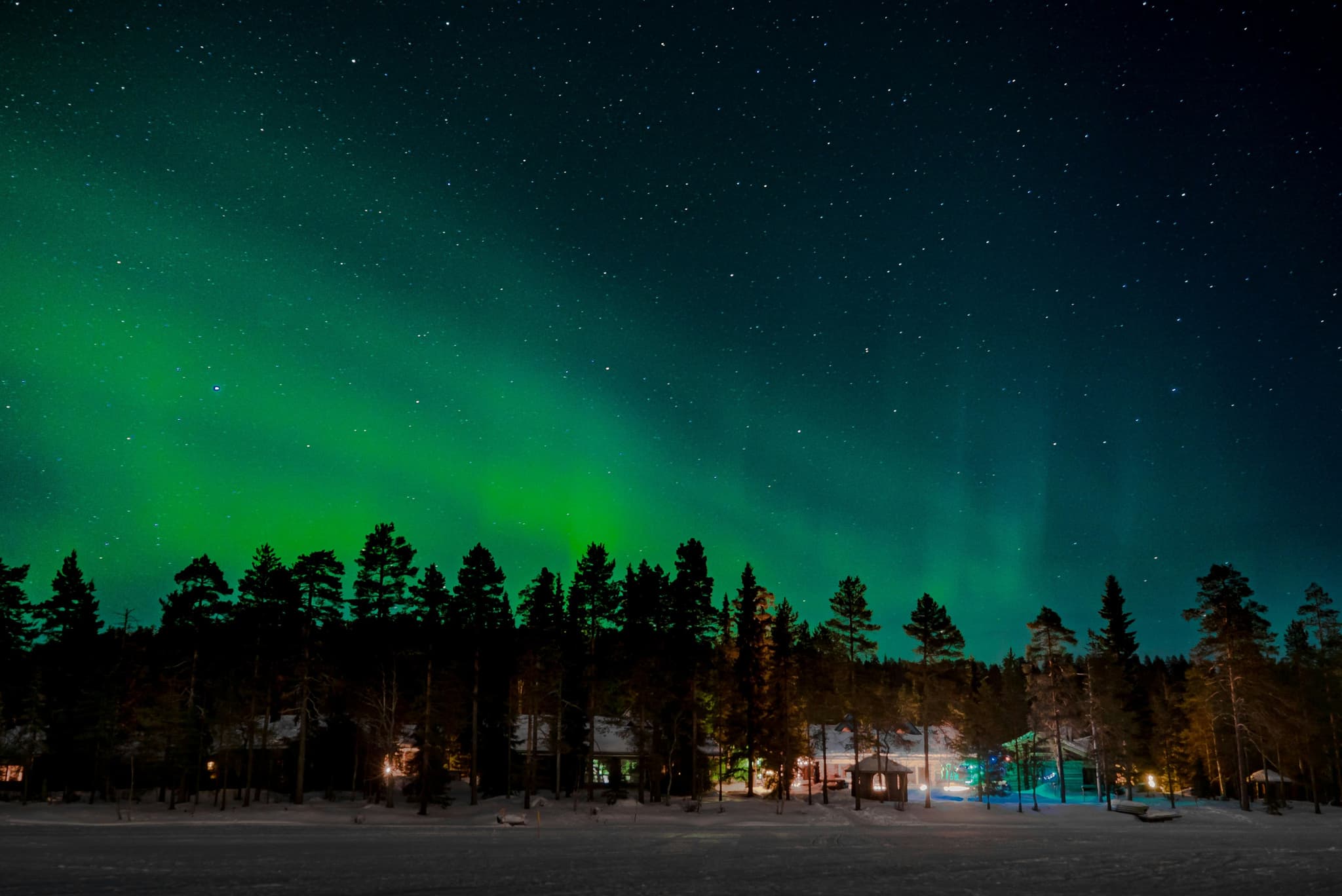 Aurora borealis lighting up the sky above a Lapland forest