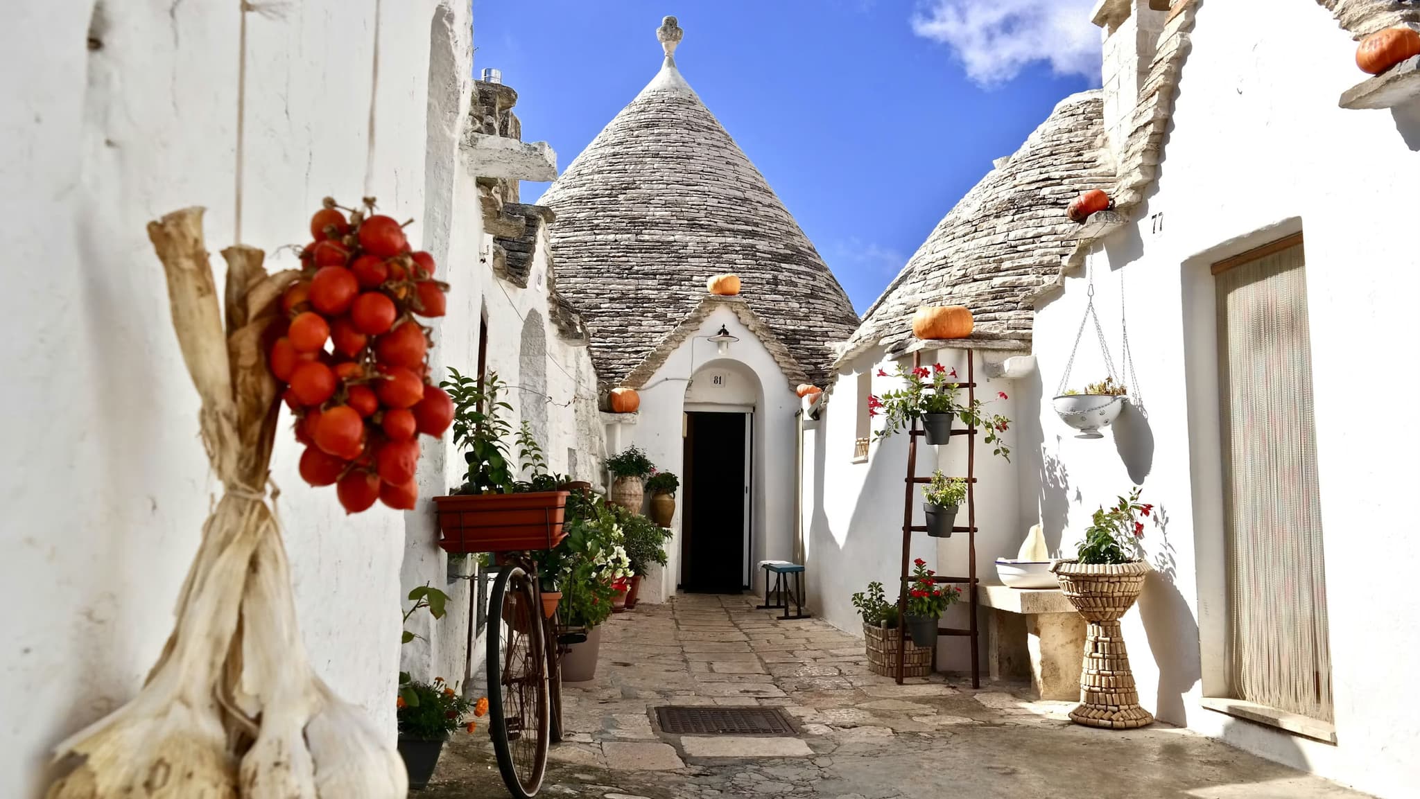 Charming alley with traditional trulli houses featuring conical roofs, whitewashed walls, vibrant flowers, and hanging tomatoes. A rustic, peaceful vibe.
