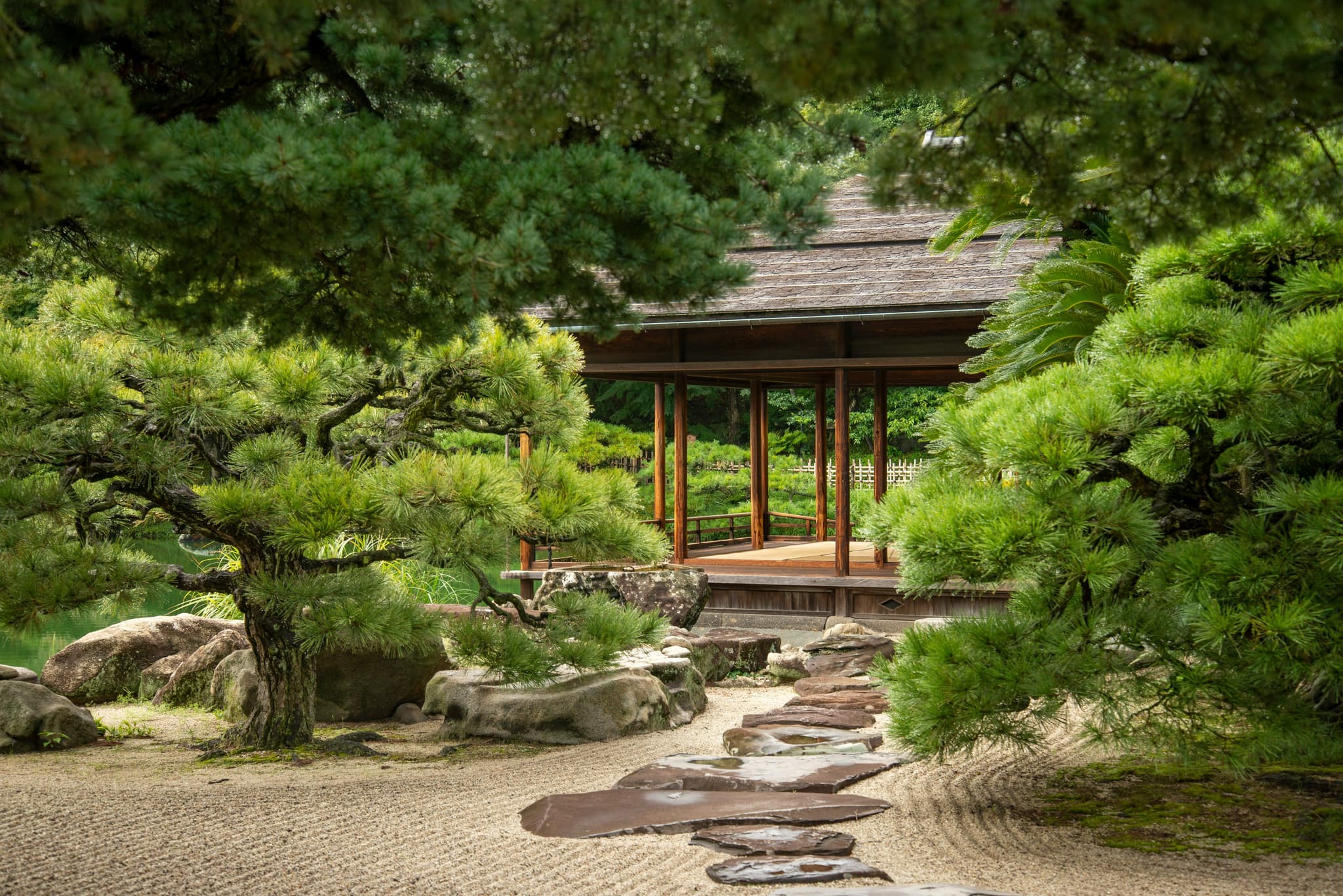 Green japanese garden with green treas and path with stones in Shikoku