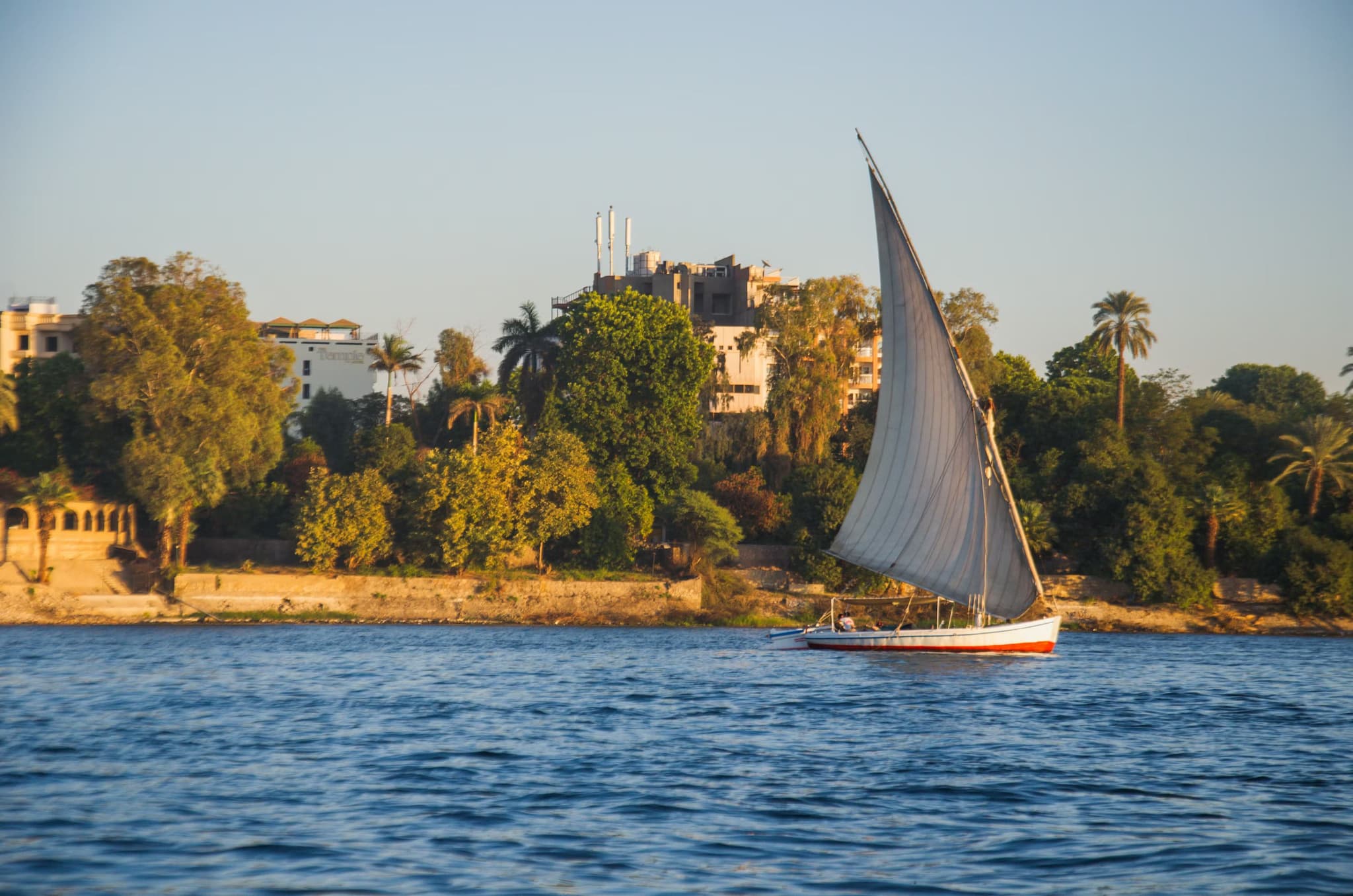 A sailboat with a tall, triangular sail glides on the Nile River. Lush greenery and distant buildings line the sunlit shore, creating a serene scene.