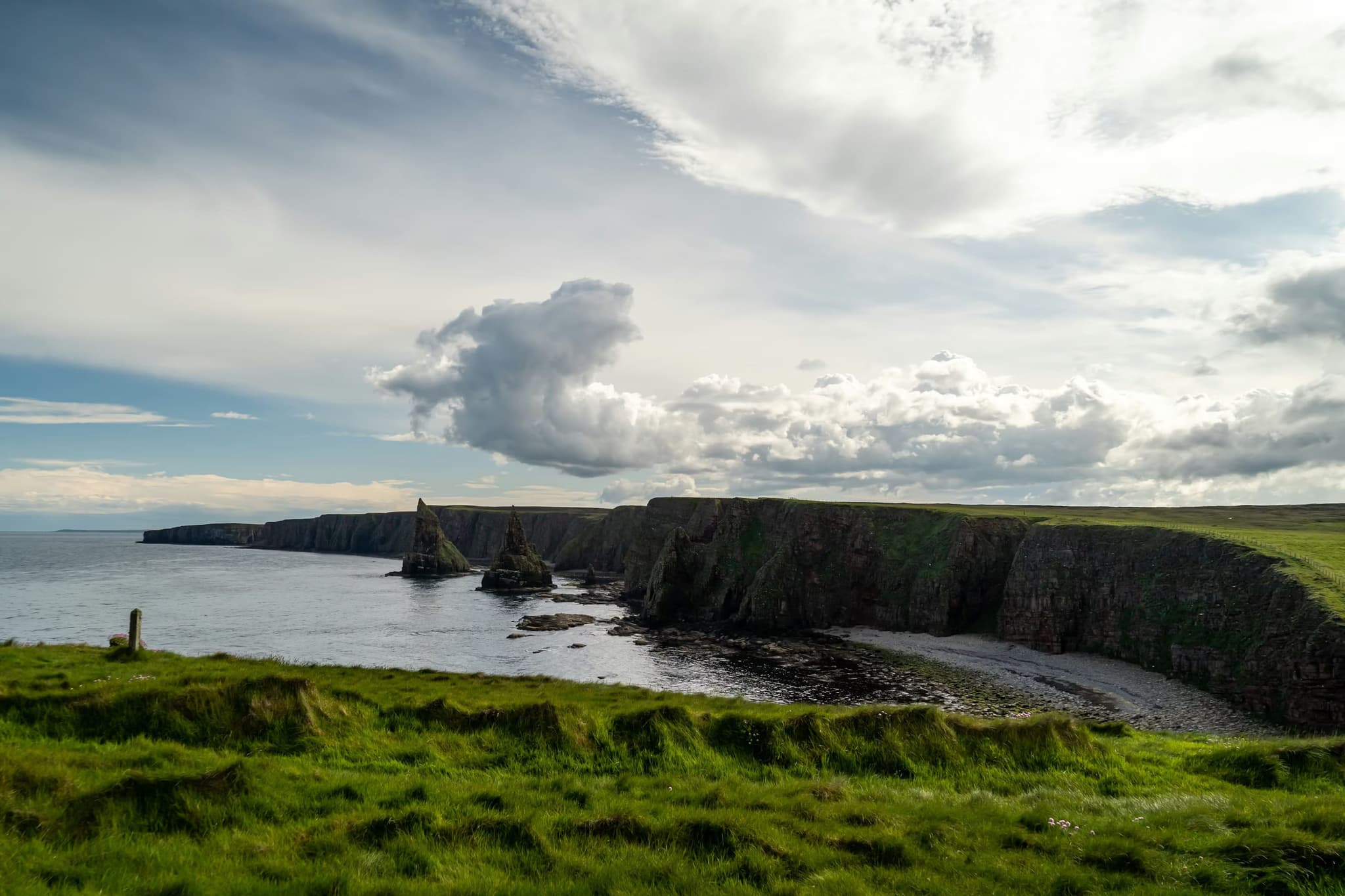 Green landscape near the ocean