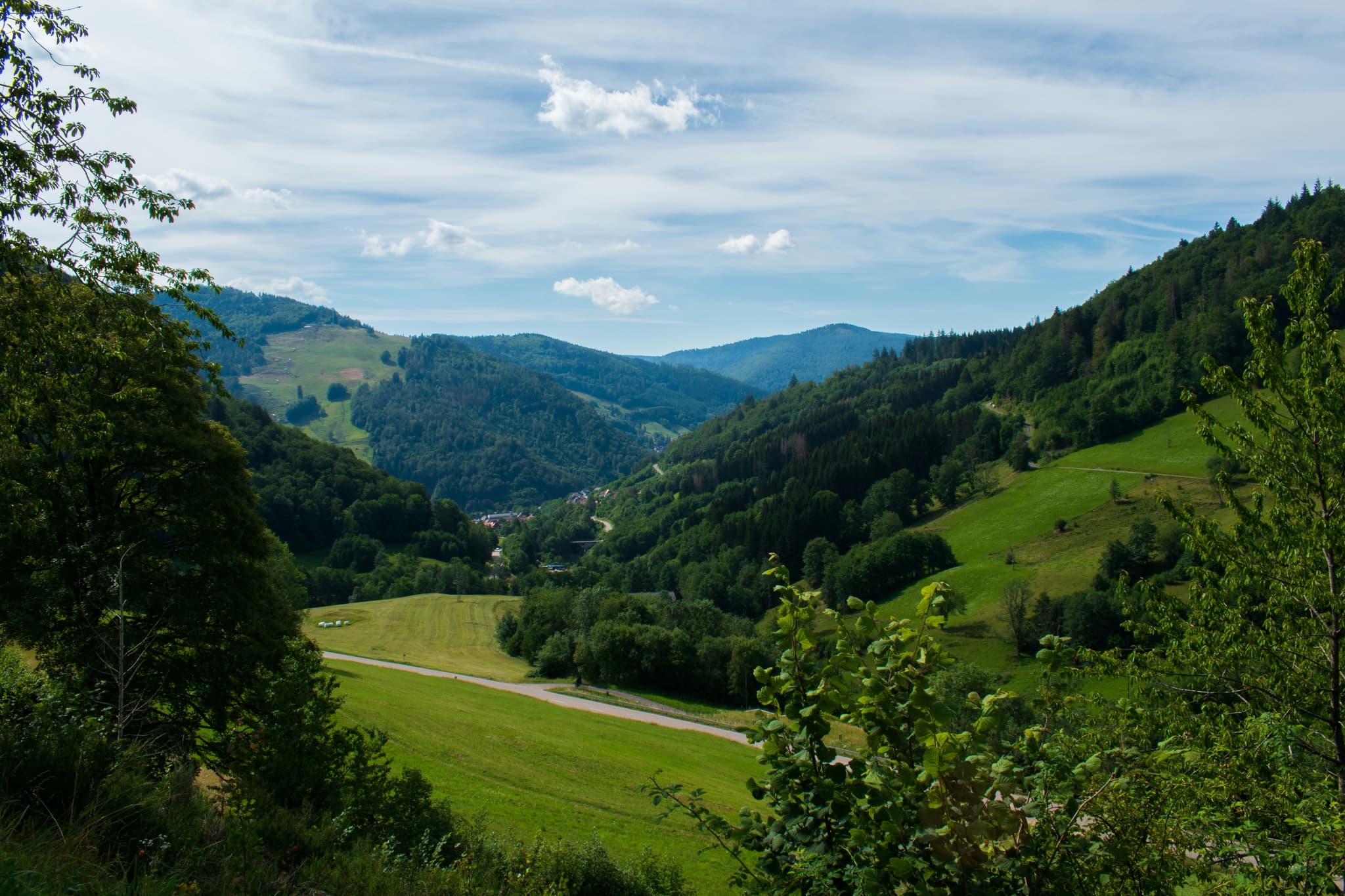 Green hill, trees and mountains in the black forest in germany