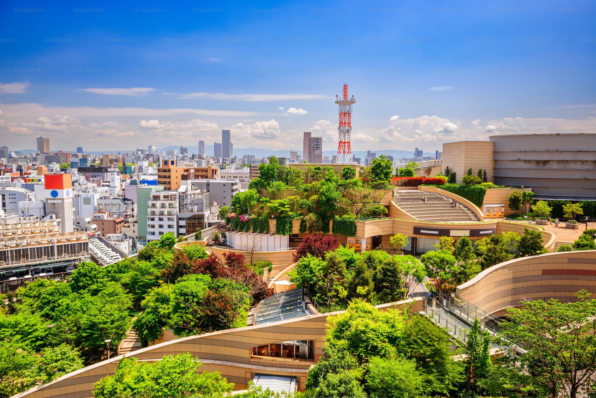 Rooftop garden atop a city building with lush greenery, surrounded by urban architecture and a red communication tower under a clear blue sky.