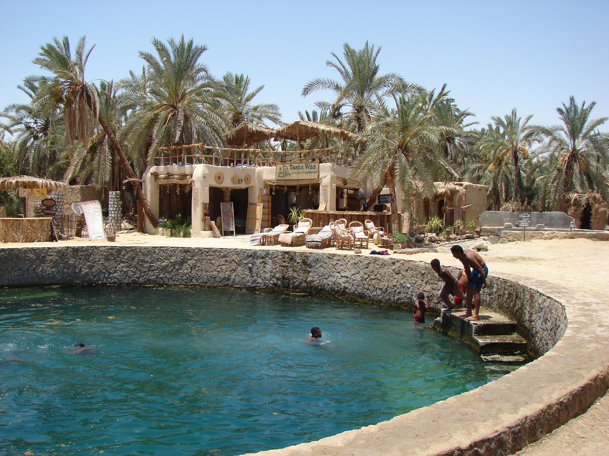 Siwa Oasis natural pools with palm trees in egypt