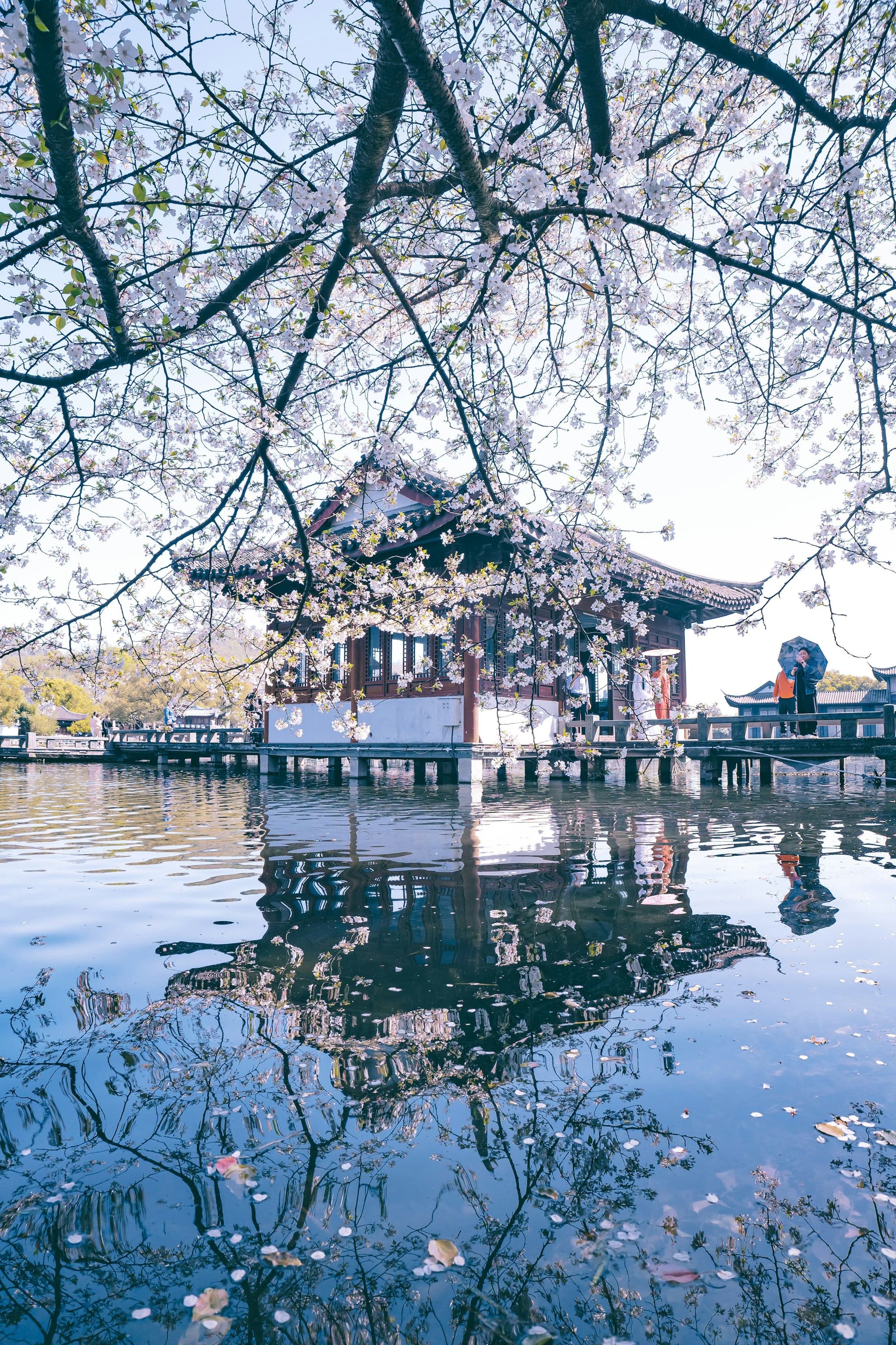 A pavilion on the water at West Lake in Hangzhou in spring
