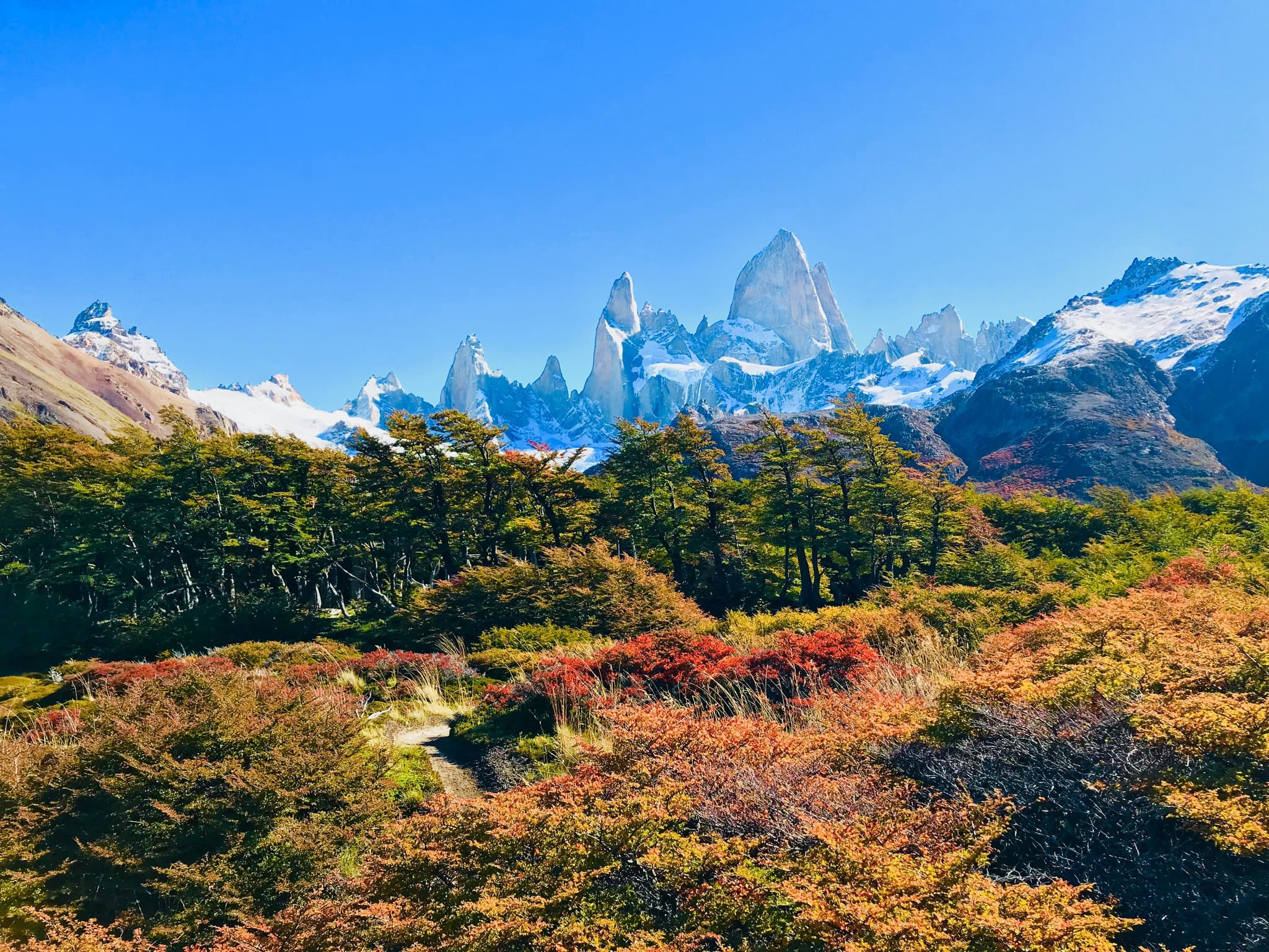 Autumn landscape with orange and yellow grass and mountains in the background