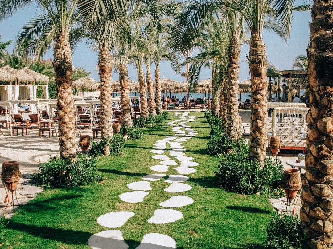 A palm-lined beach at Hurghada on Egypt's Red Sea coast.