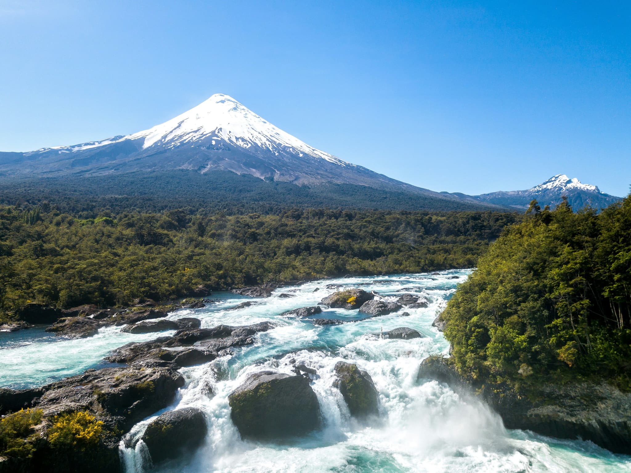 Mountain with snow and river surrounded by green trees