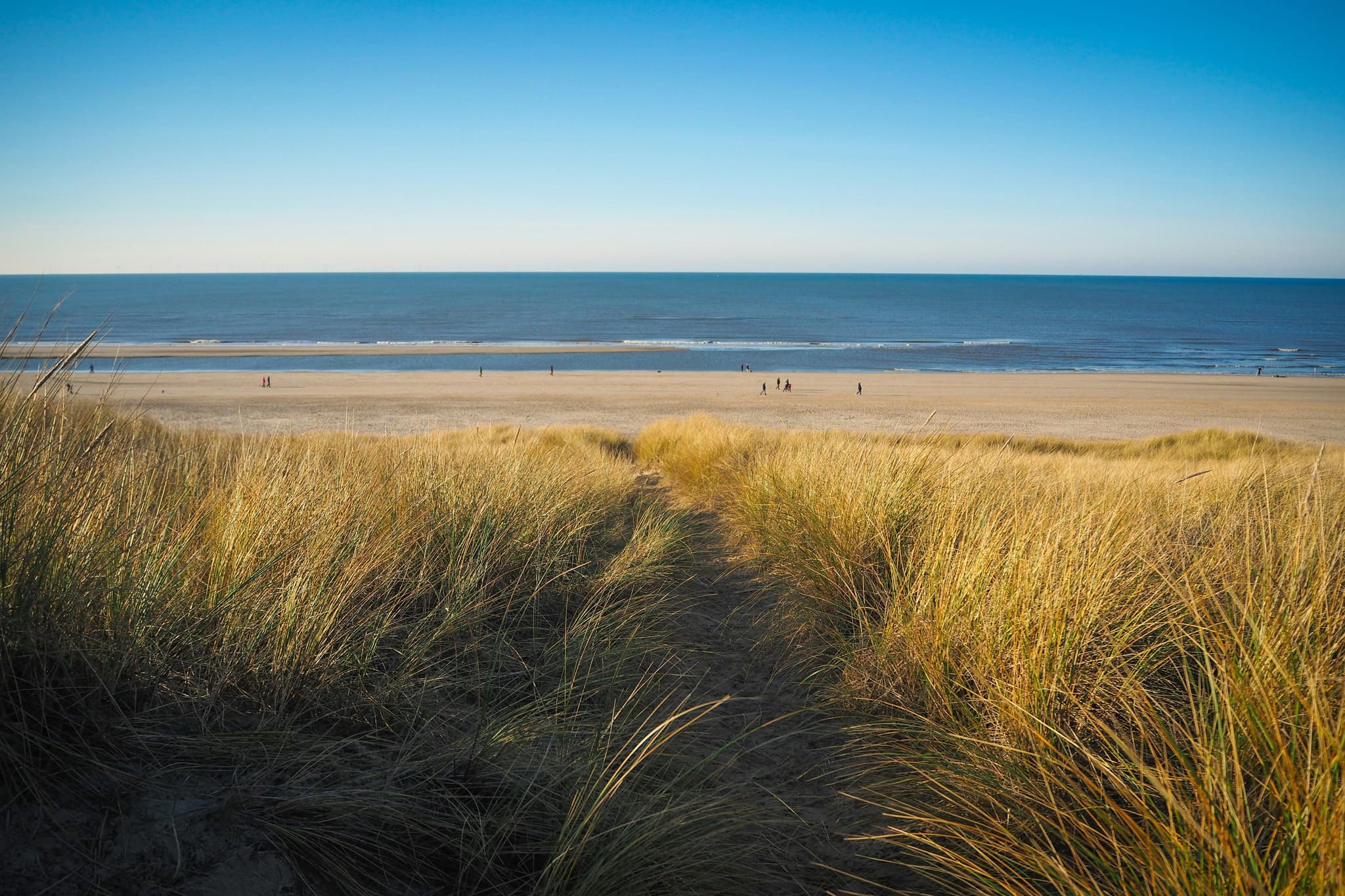 Dune and sea visible