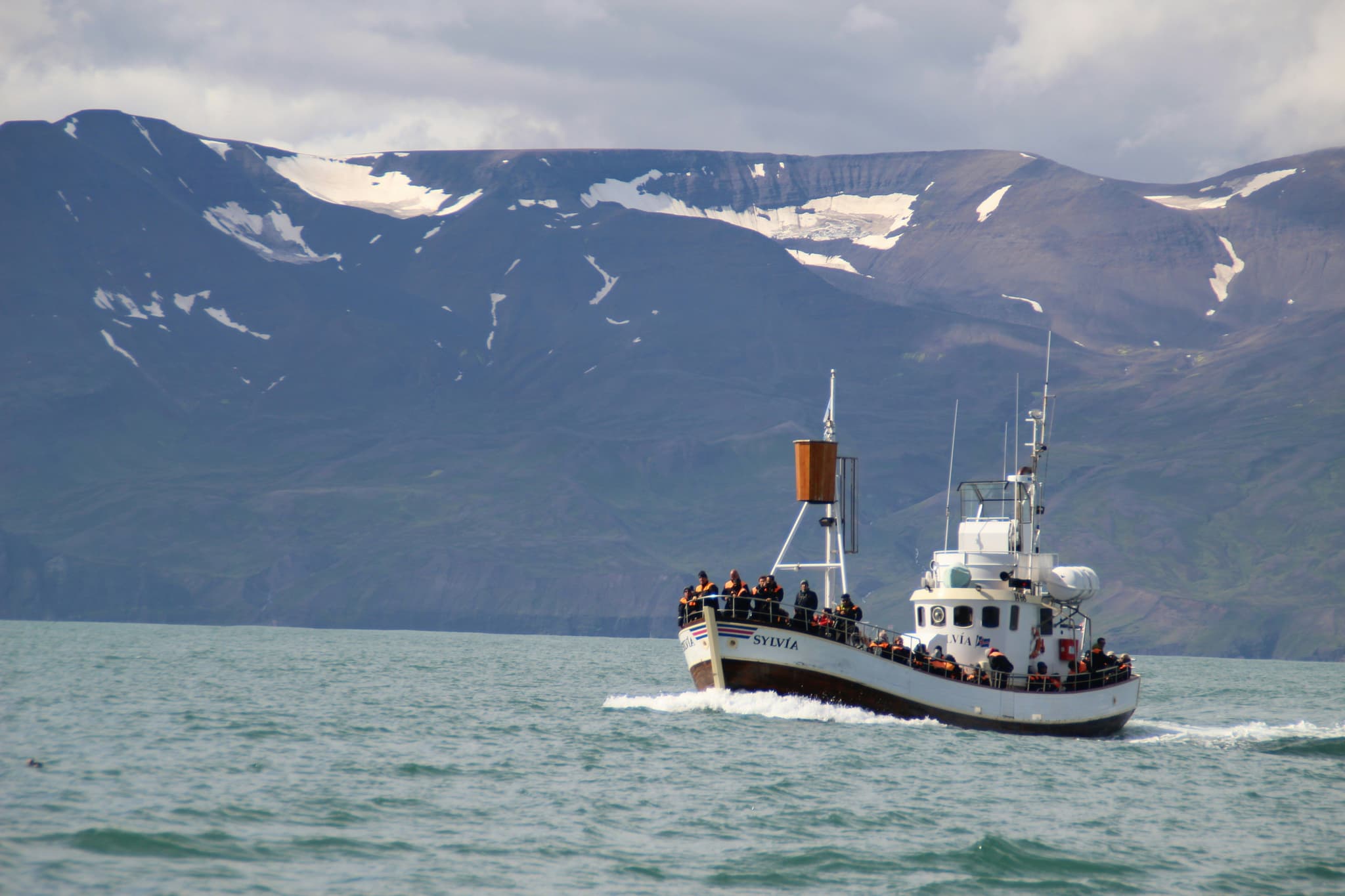 Whale watching tour boat trying to spot whales off the coast of Iceland