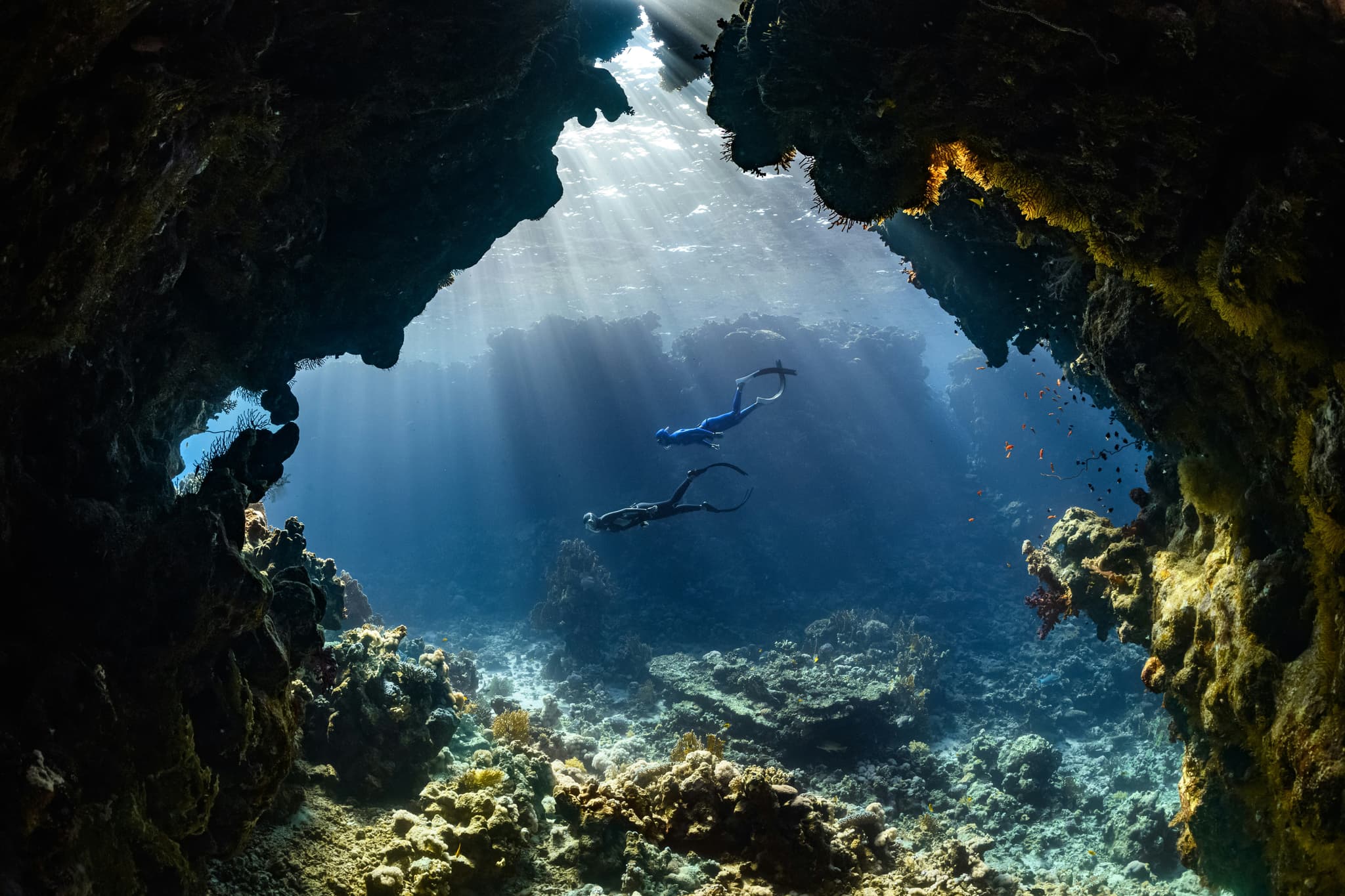2 people diving underwater