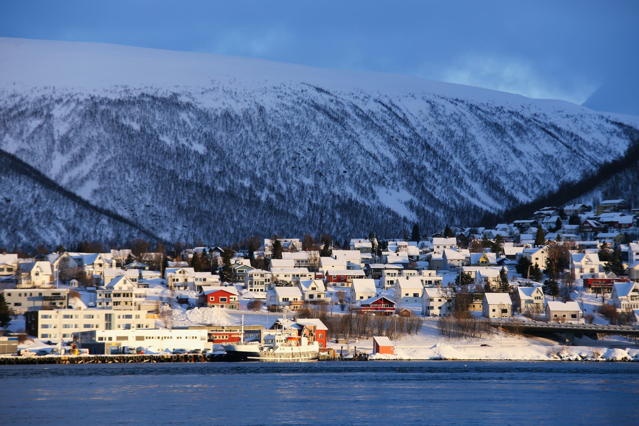 Houses along the water surrounded by snowy mountains in Tromsø