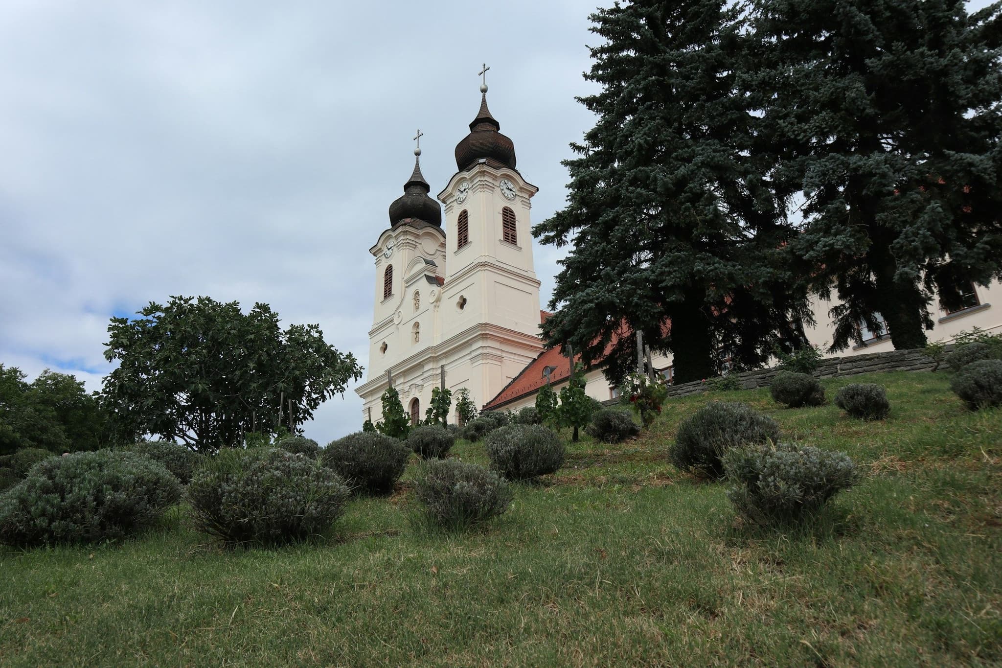 A church on a hilltop above the trees