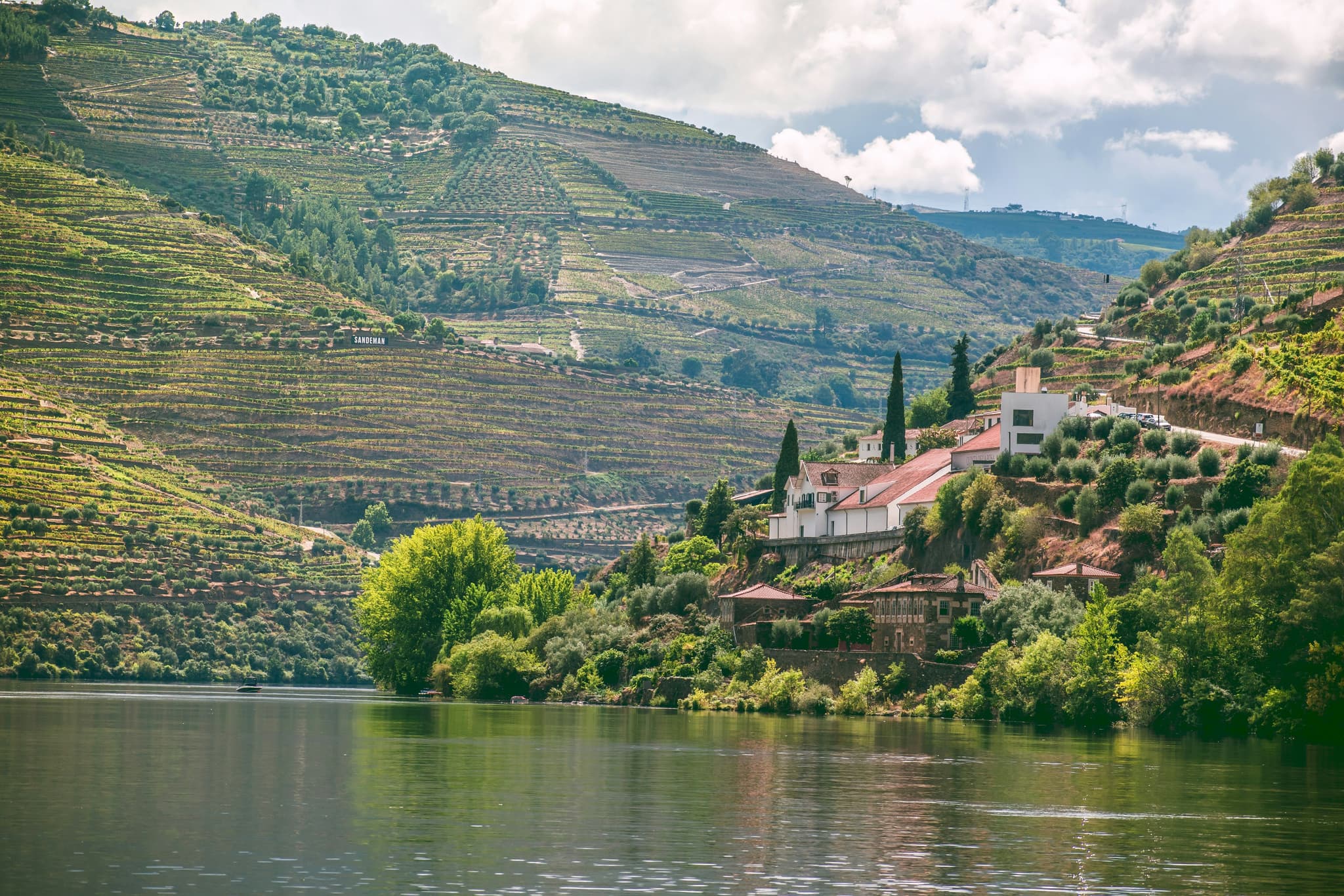 Vineyards lining the Douro Valley river in northern Portugal