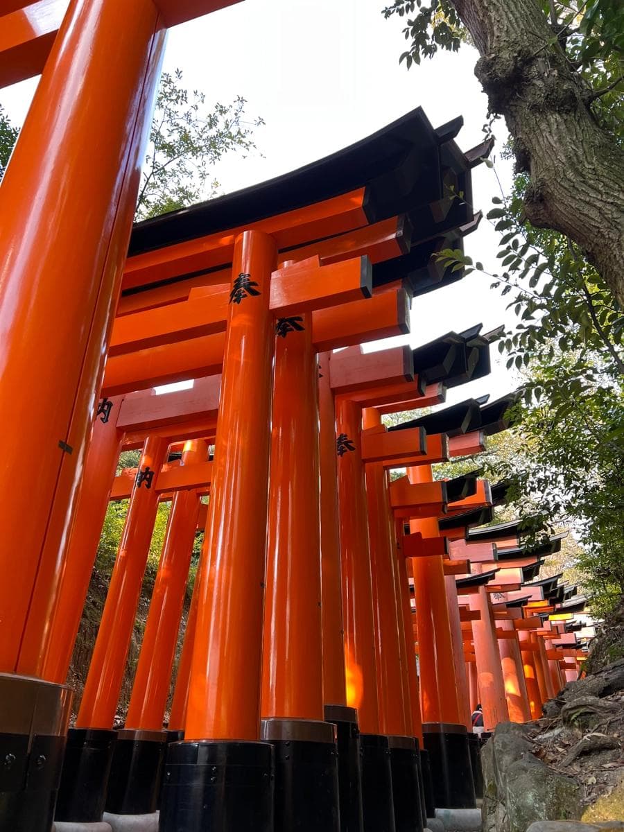 Fushimi Inari Taisha