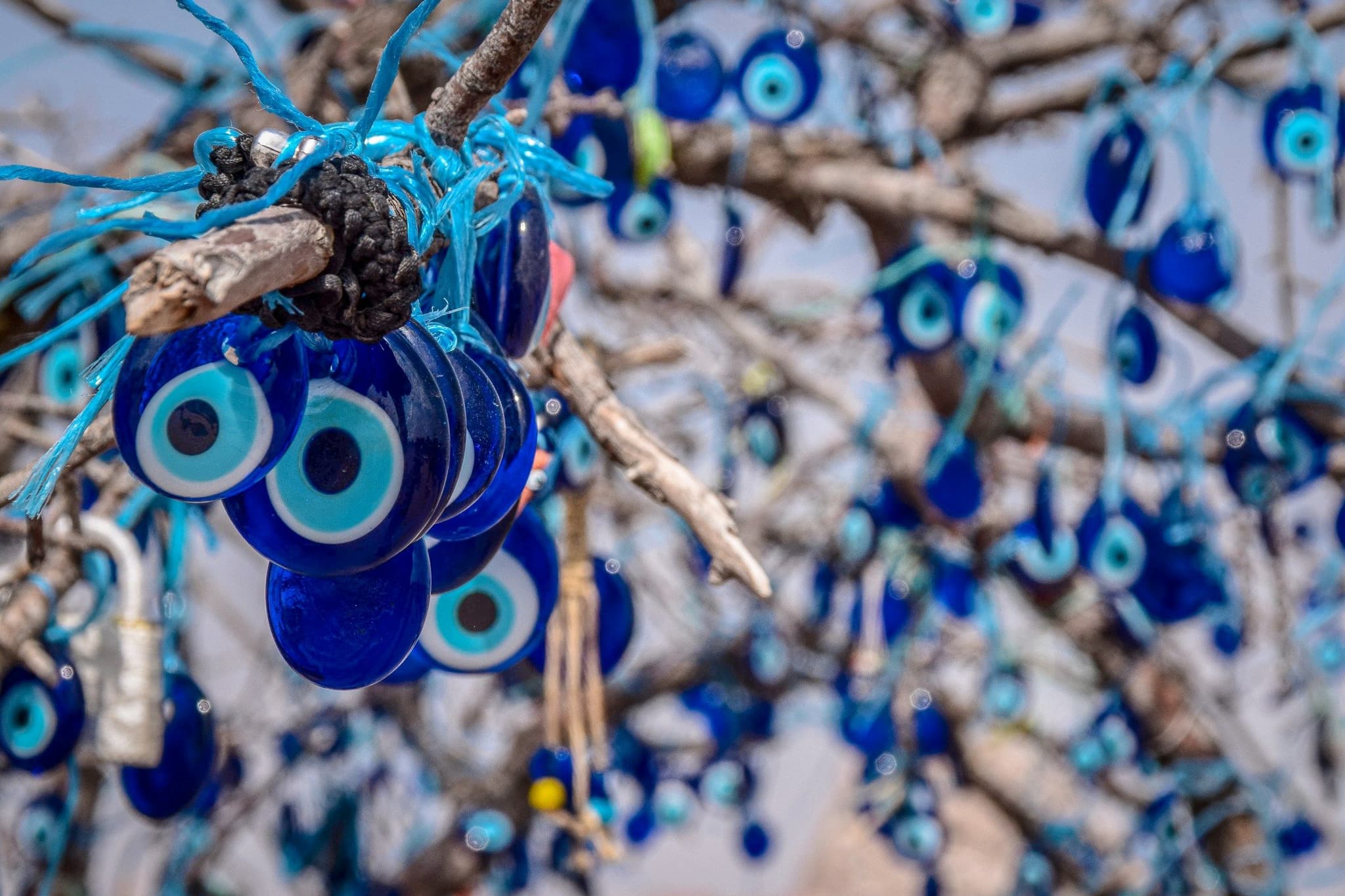 Blue nazar evil eye beads hanging from a nazar tree in Cappadocia