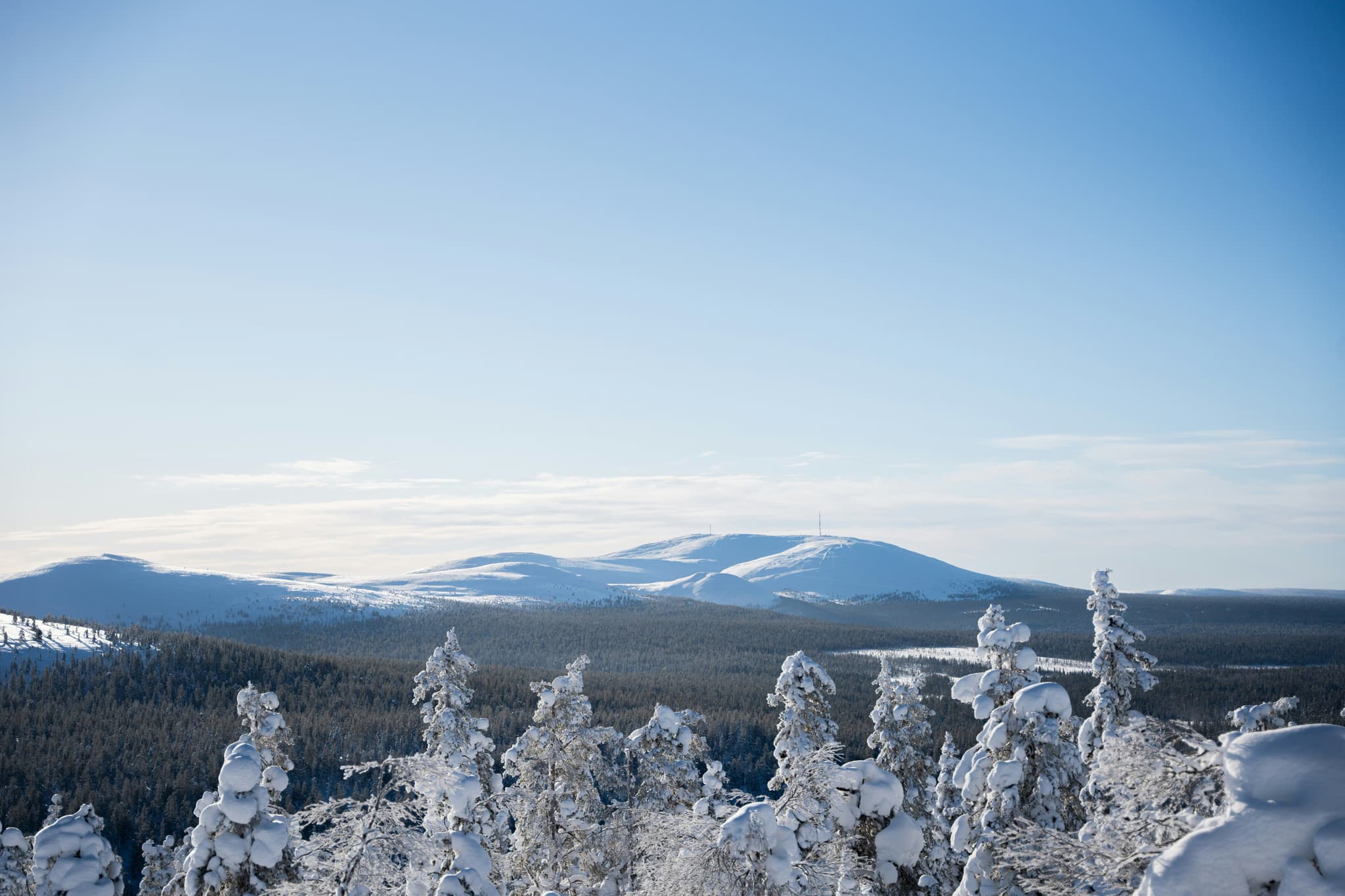 Snowy mountain in the distance and snow covered tree tops