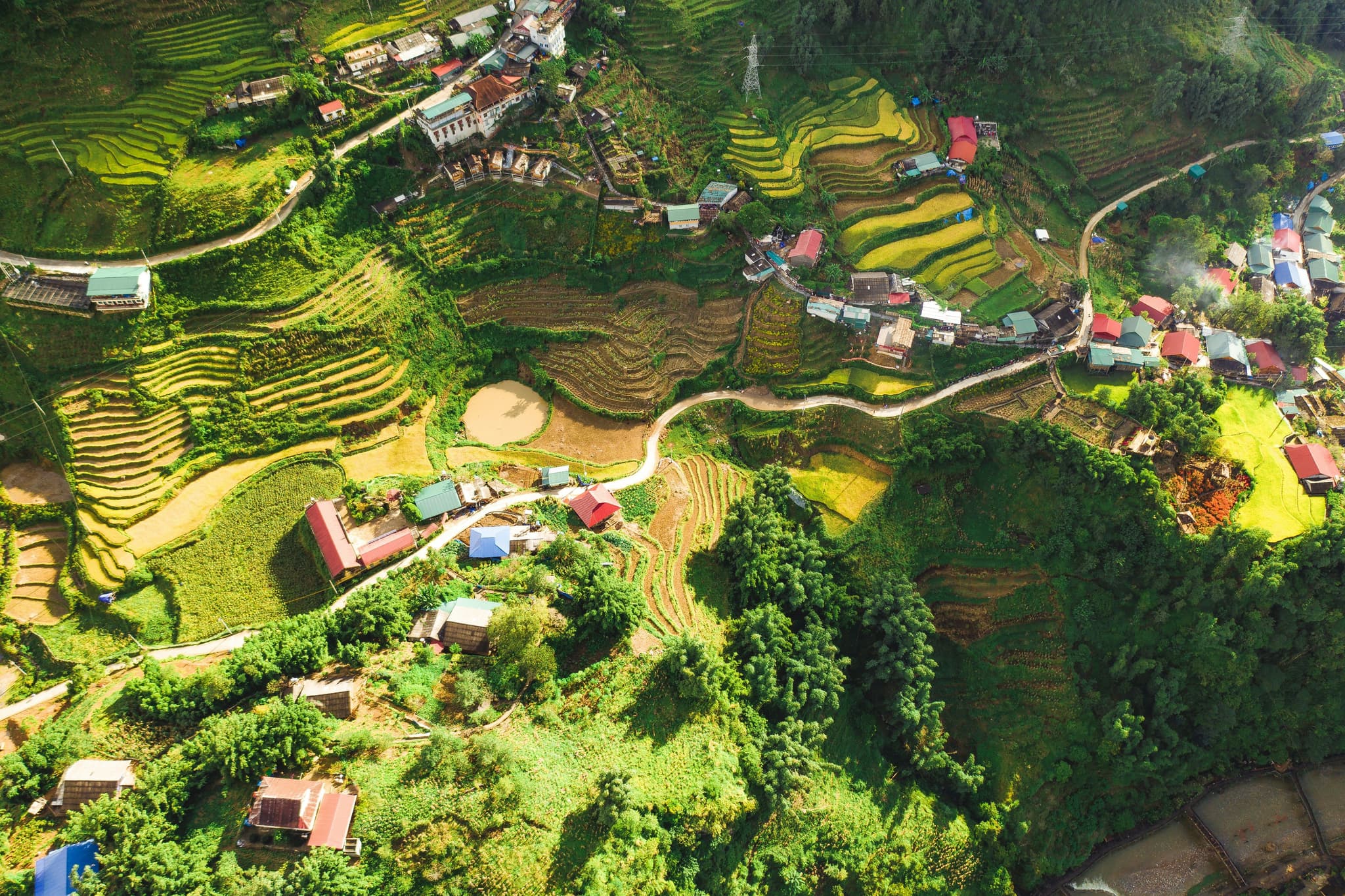 Northern vietnam rice fields from above
