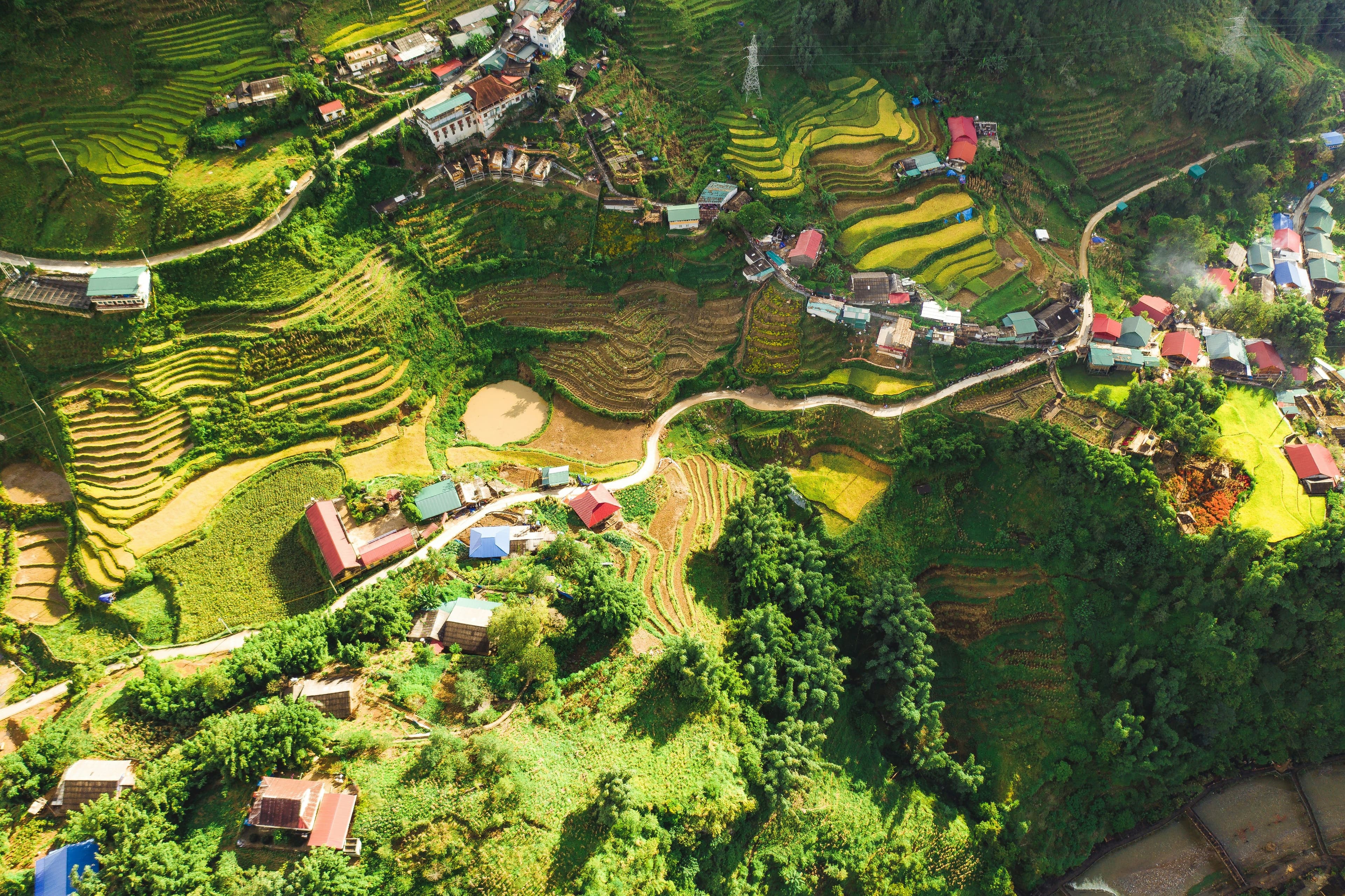 Northern vietnam rice fields from above