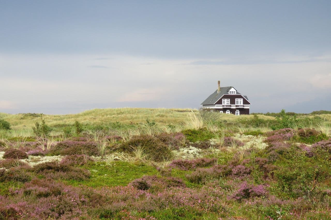A small house in a quiet natural landscape with dunes and purple vegetation, representing the peaceful Danish countryside.