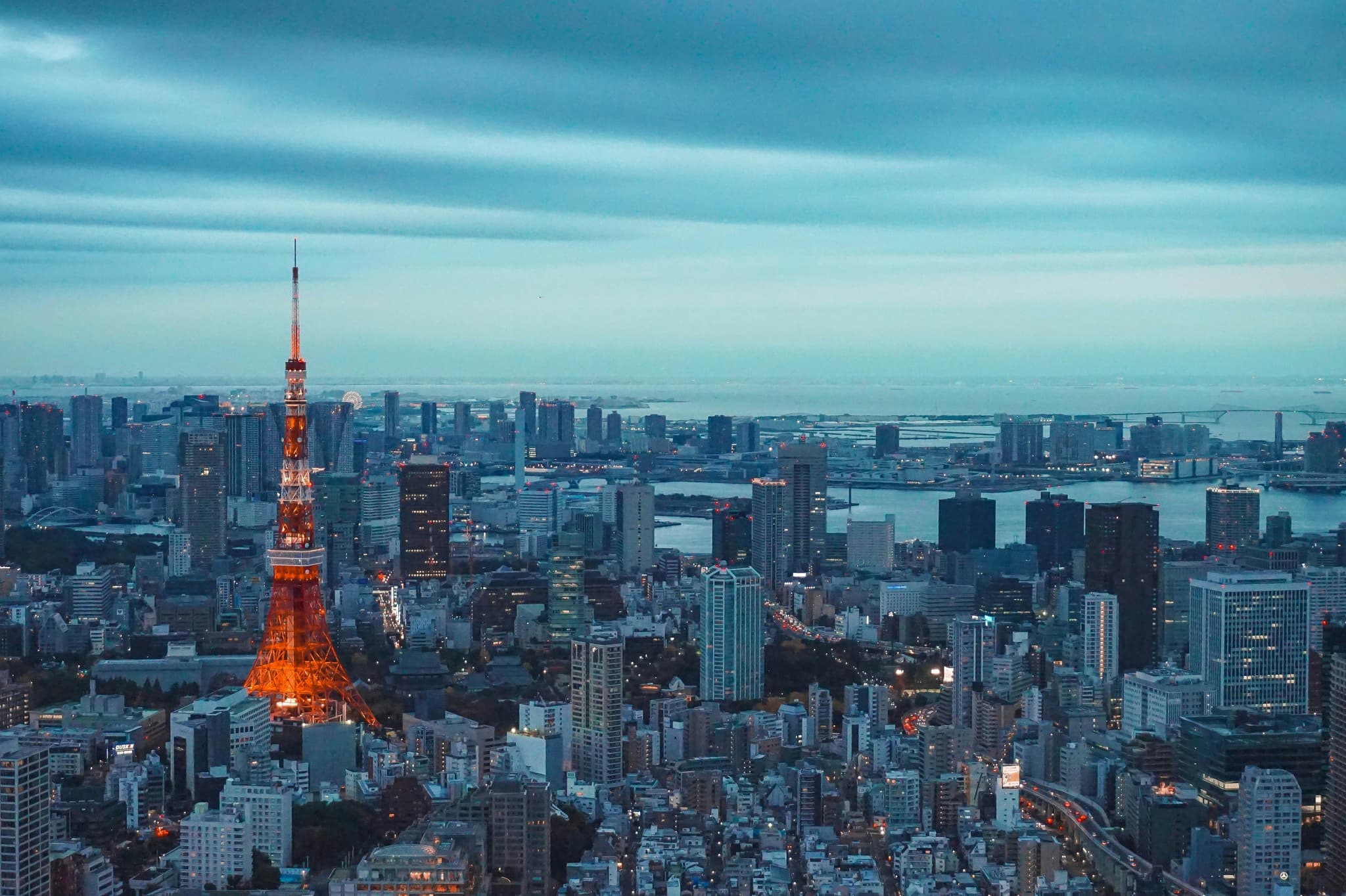 City skyline from above at night in tokyo