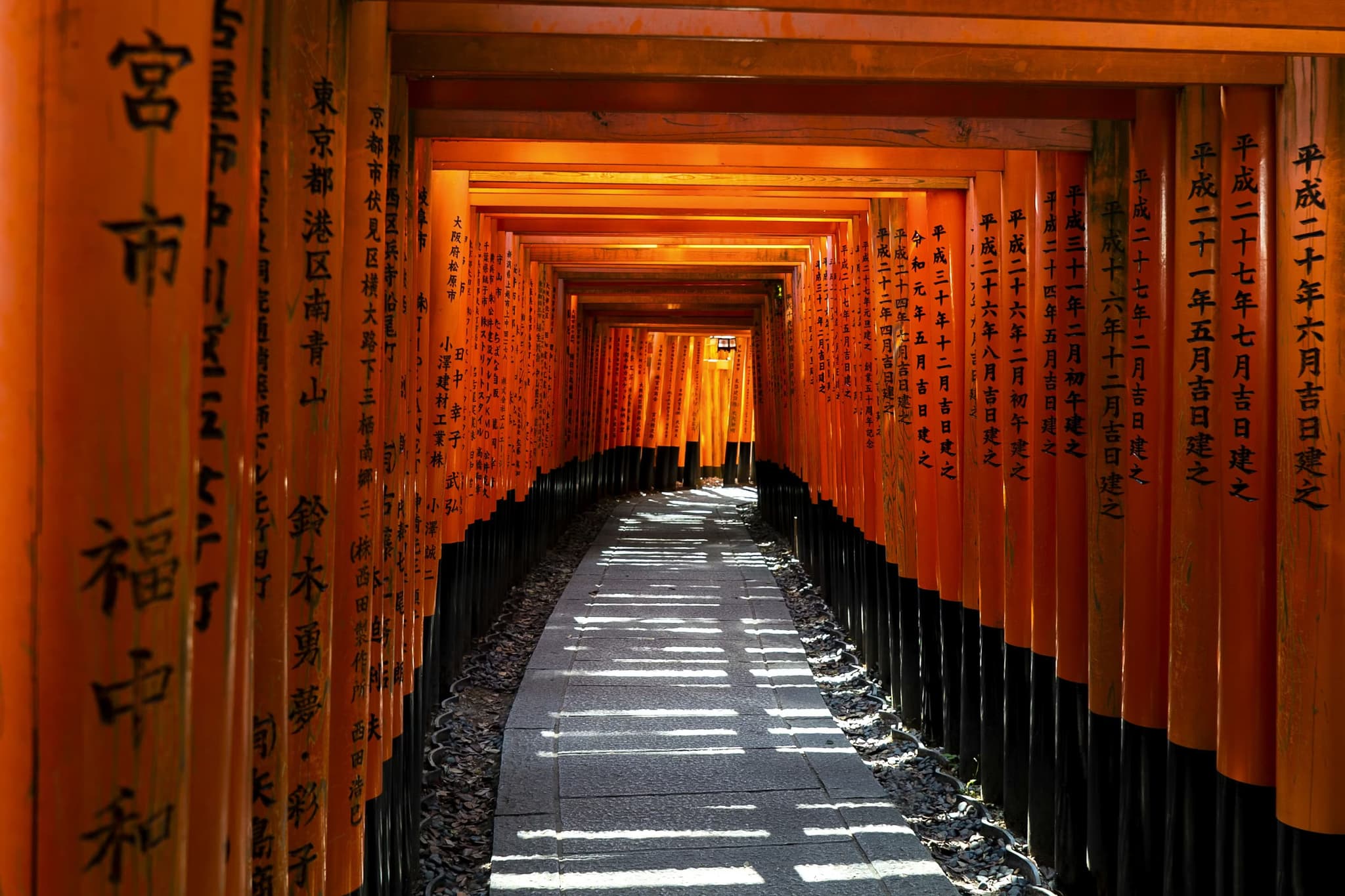 A pathway lined with red torii gates extends into the distance, creating a tunnel effect. Sunlight casts shadow patterns, creating a serene and mystical atmosphere.