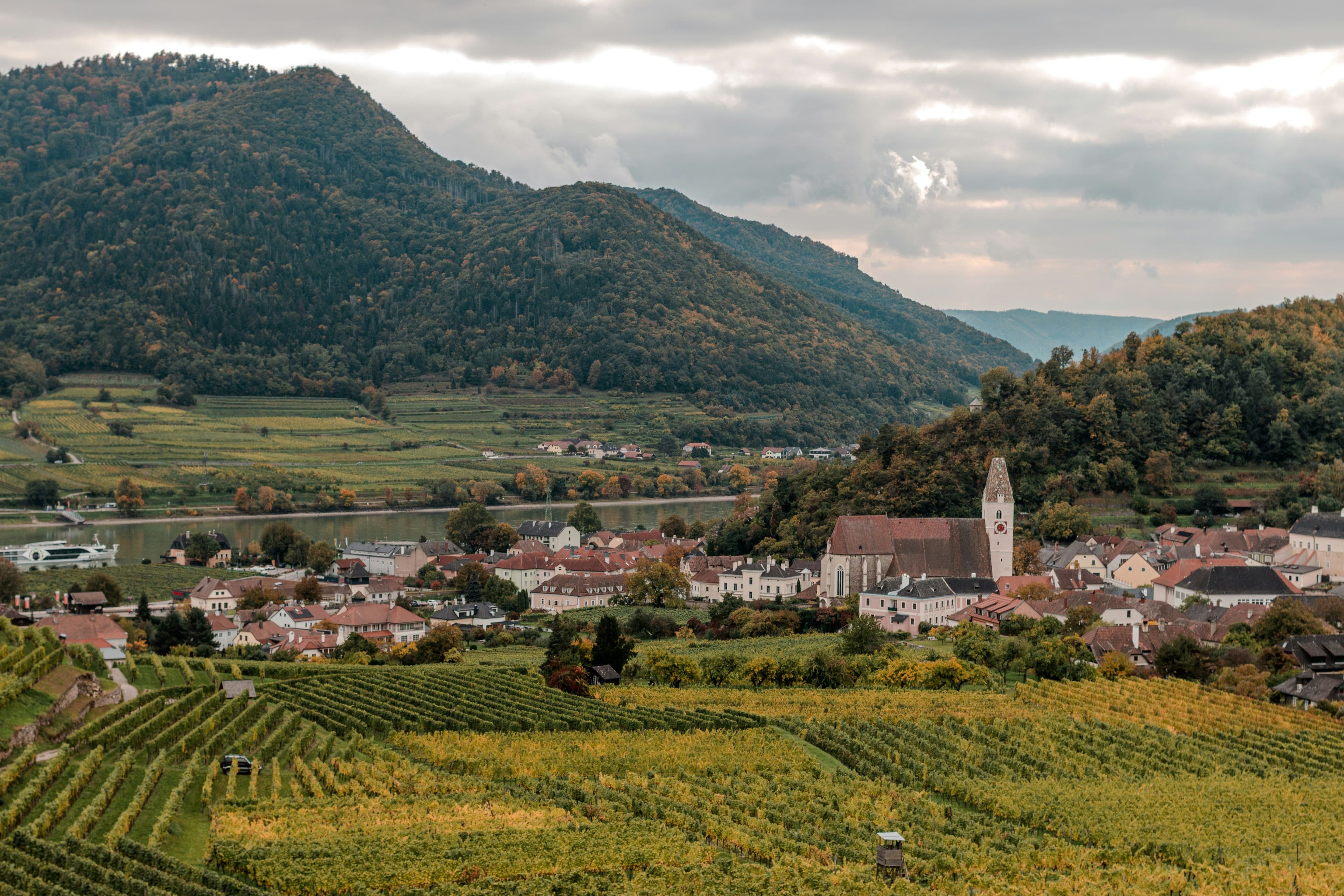 Wachau Valley green landscape with small houses and a mountain