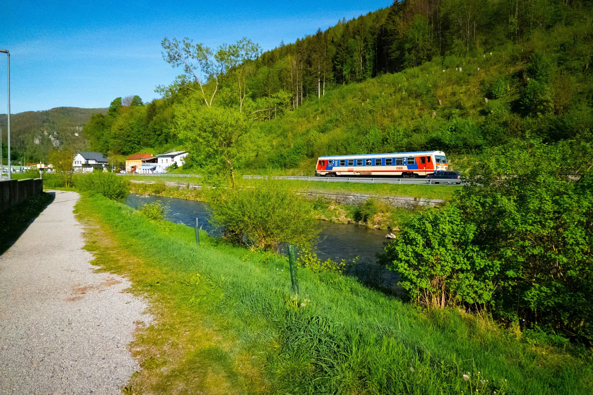 A train in austria passing through a green landscape