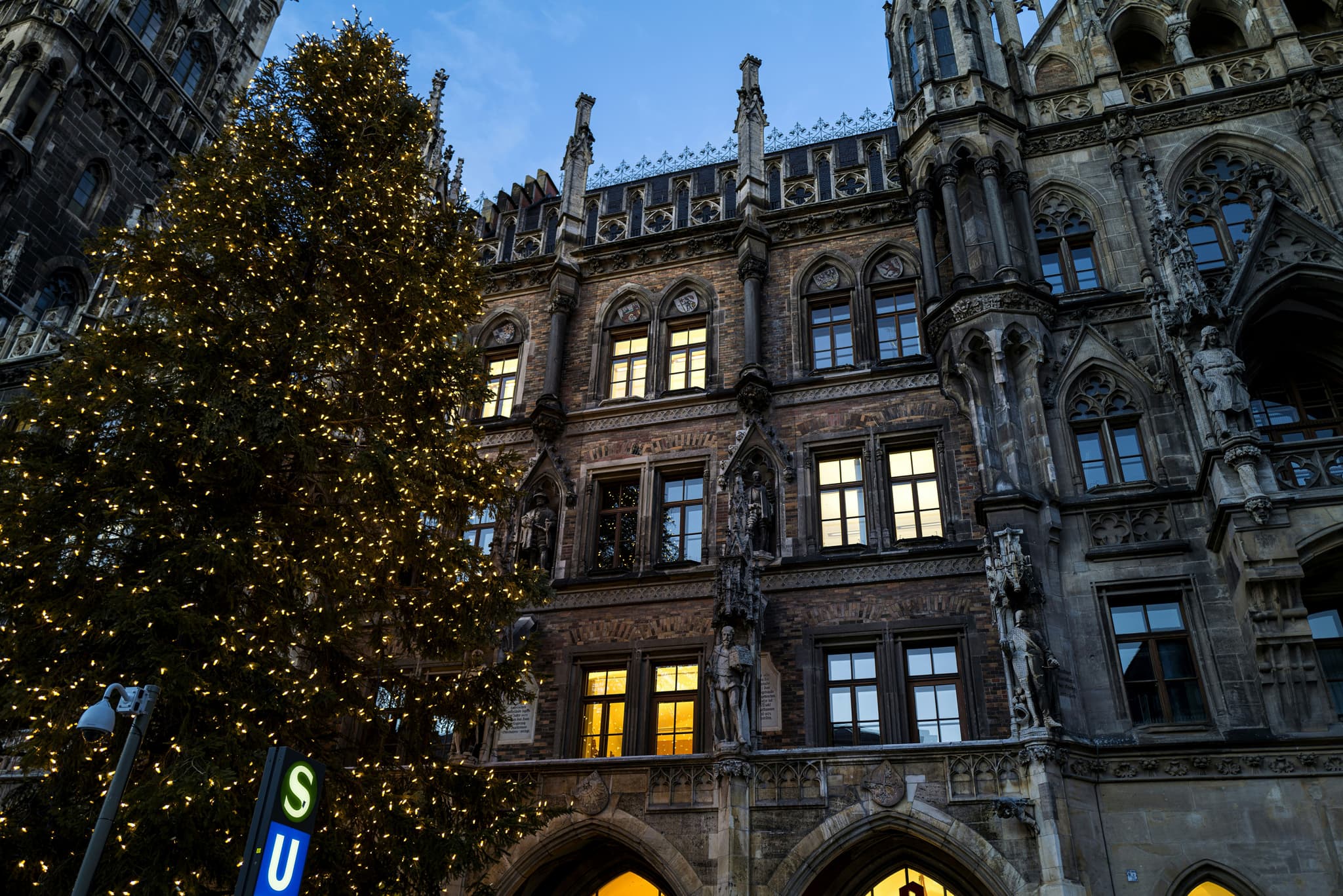 Munich's Neues Rathaus with the Marienplatz Christmas tree lit at night
