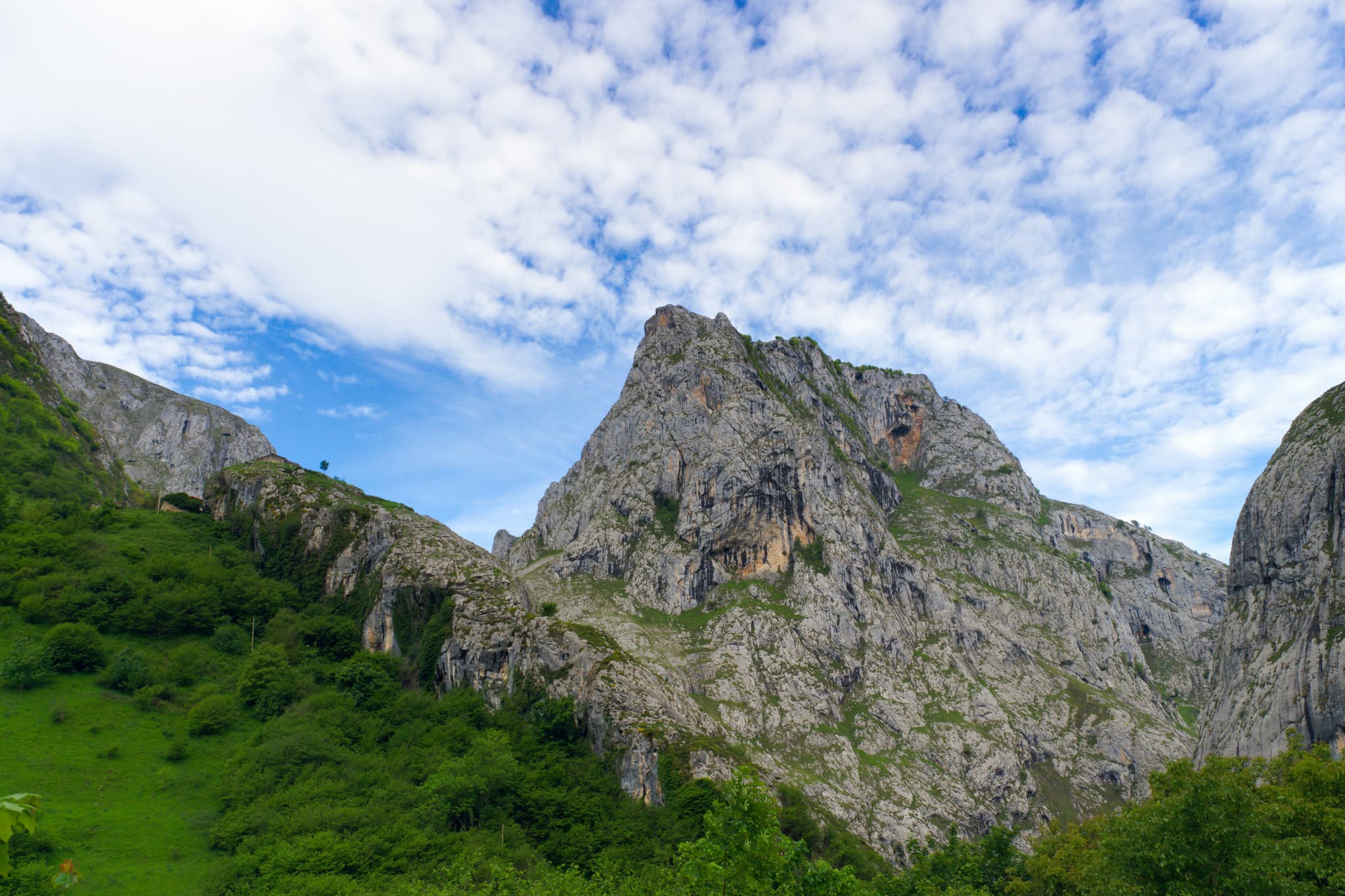Picos de Europa national park with rocky mountaina and green grass