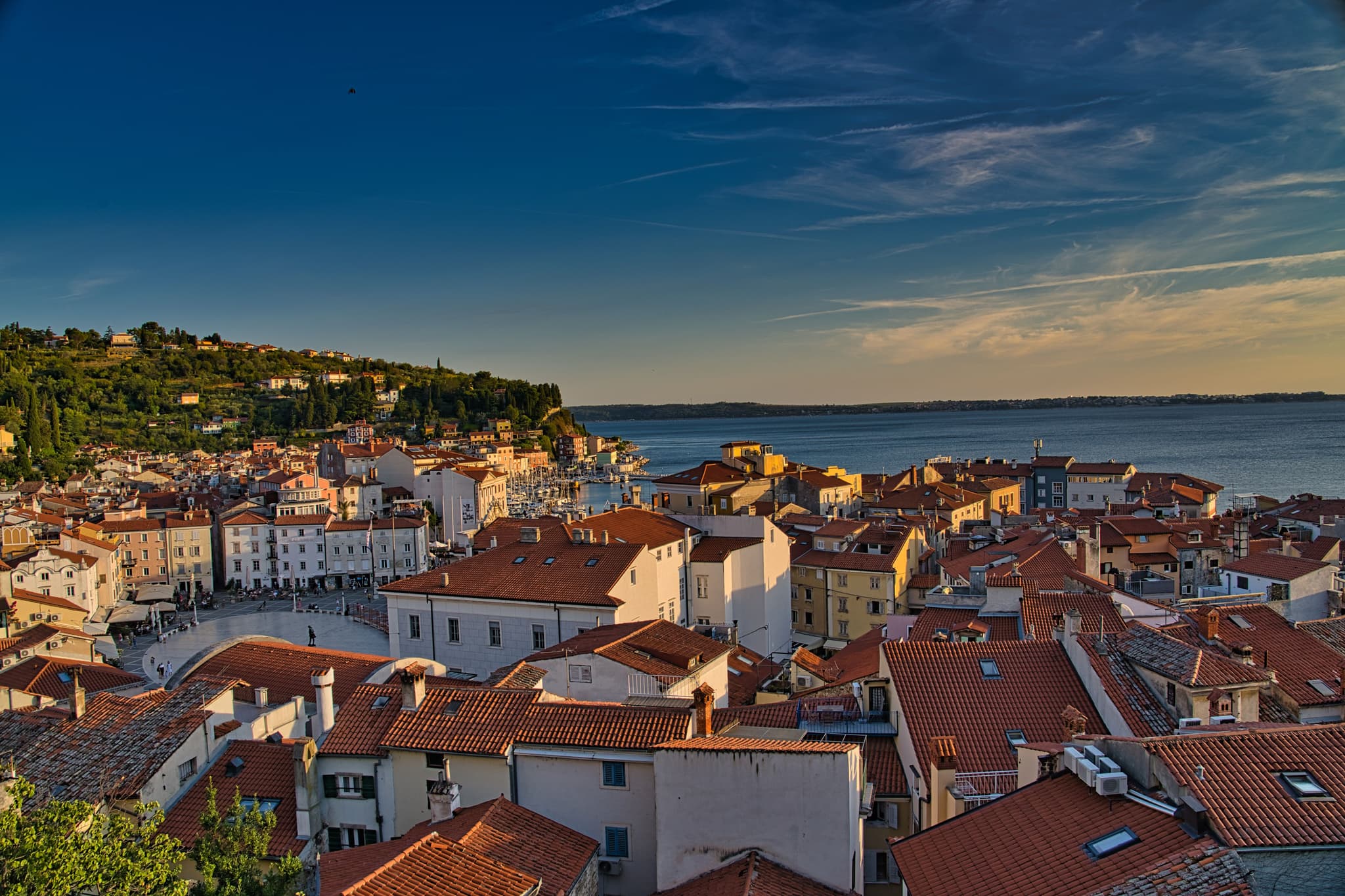 Aerial view of orange rooftops of buildings in Piran during sunset.