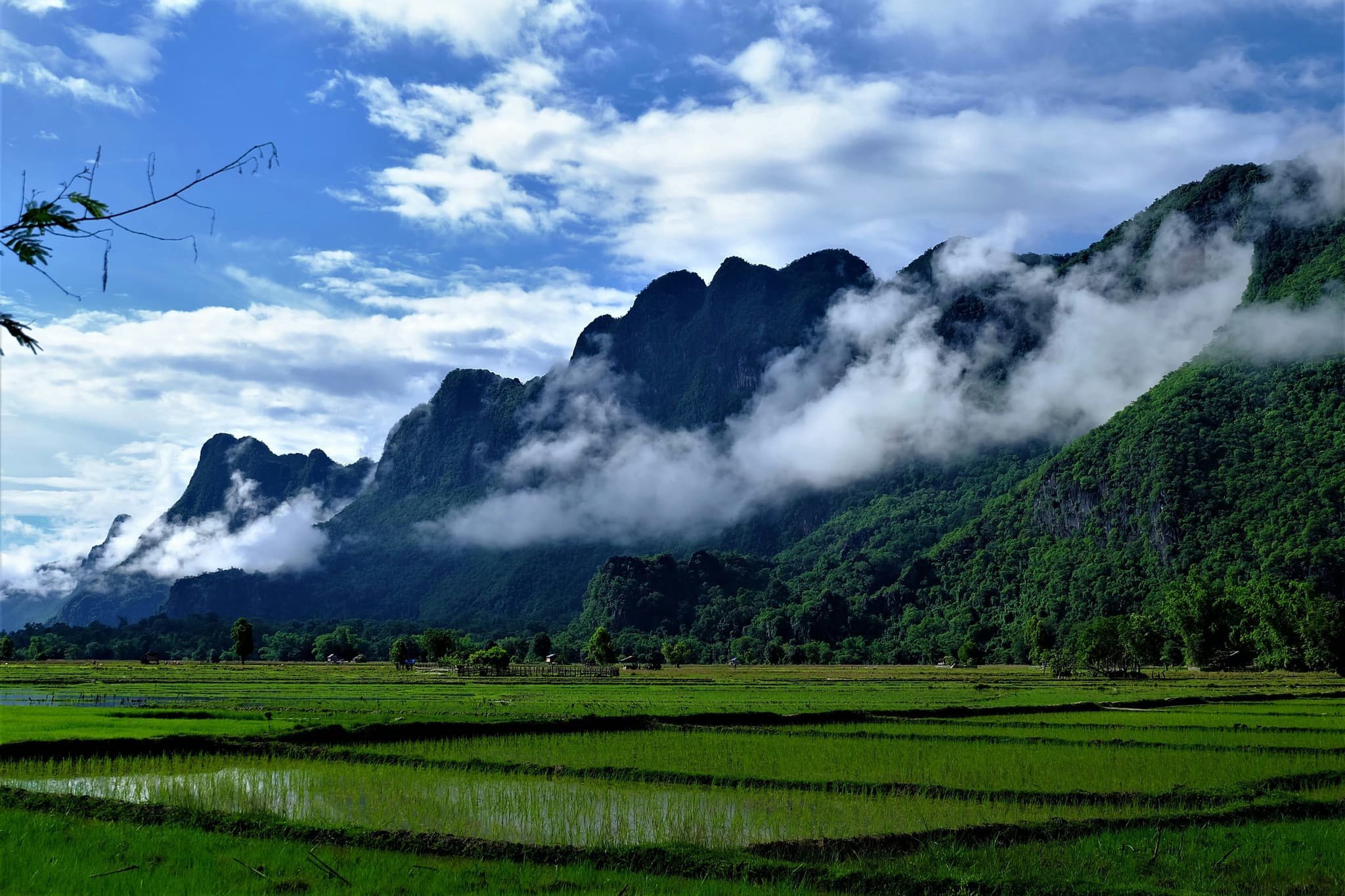 Mountains in laos behind rice fields