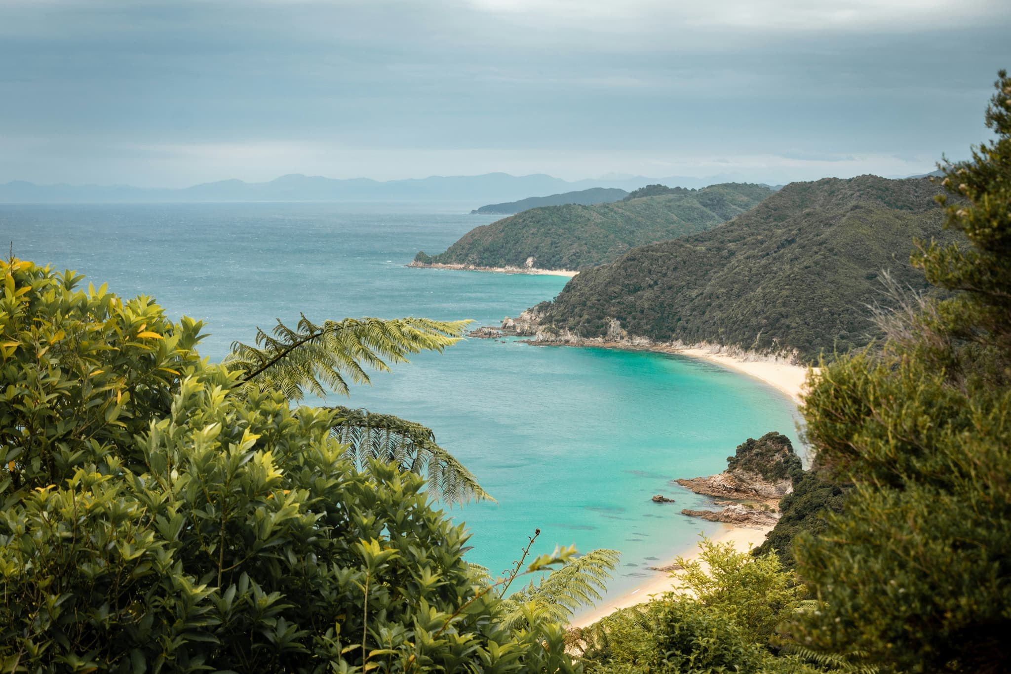 A beach view with palm trees and white sand beach and turqoise water in Abel Tasman Coast Track