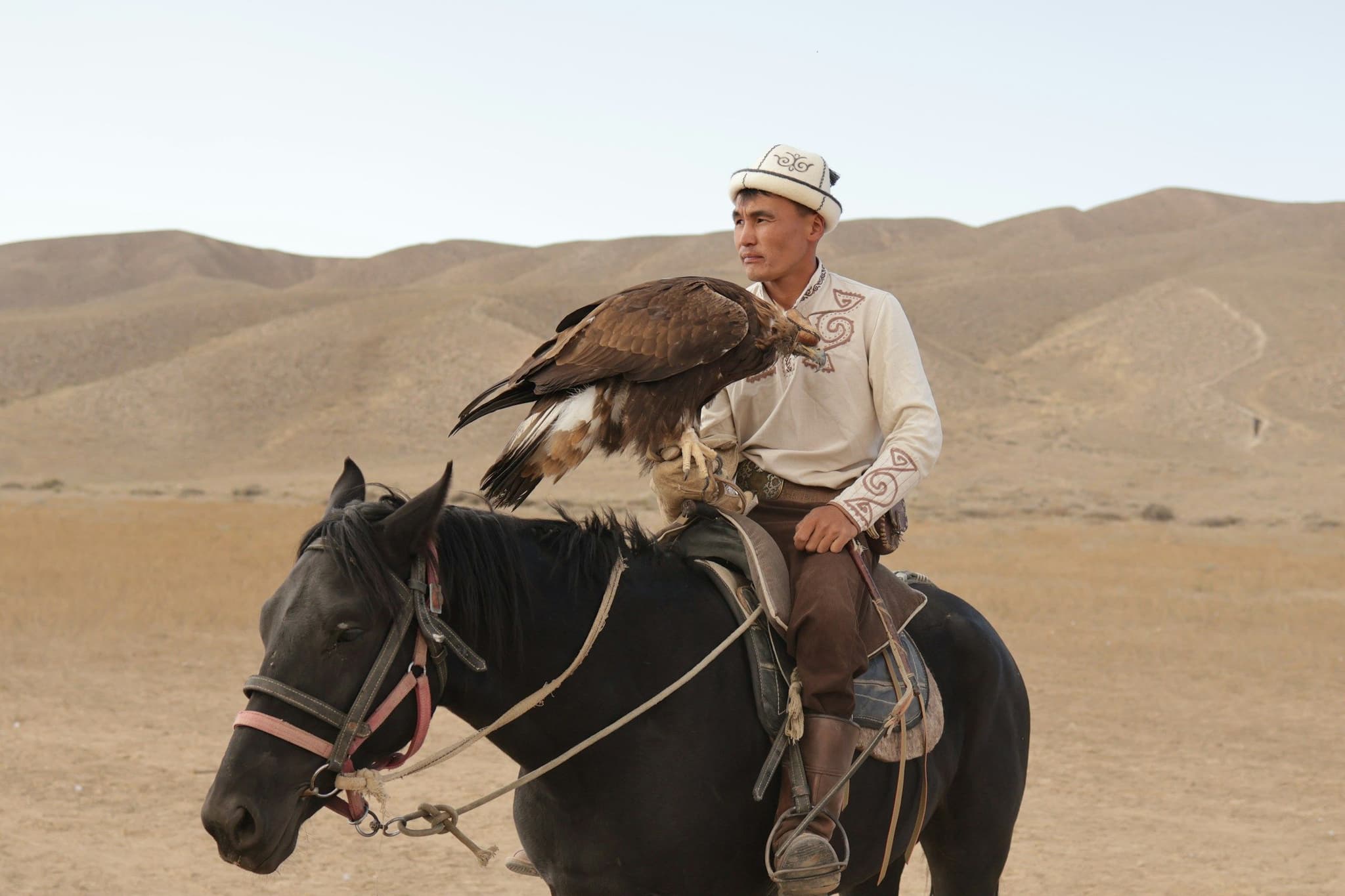 A man in traditional dress on horseback with a golden eagle in Bokonbayevo
