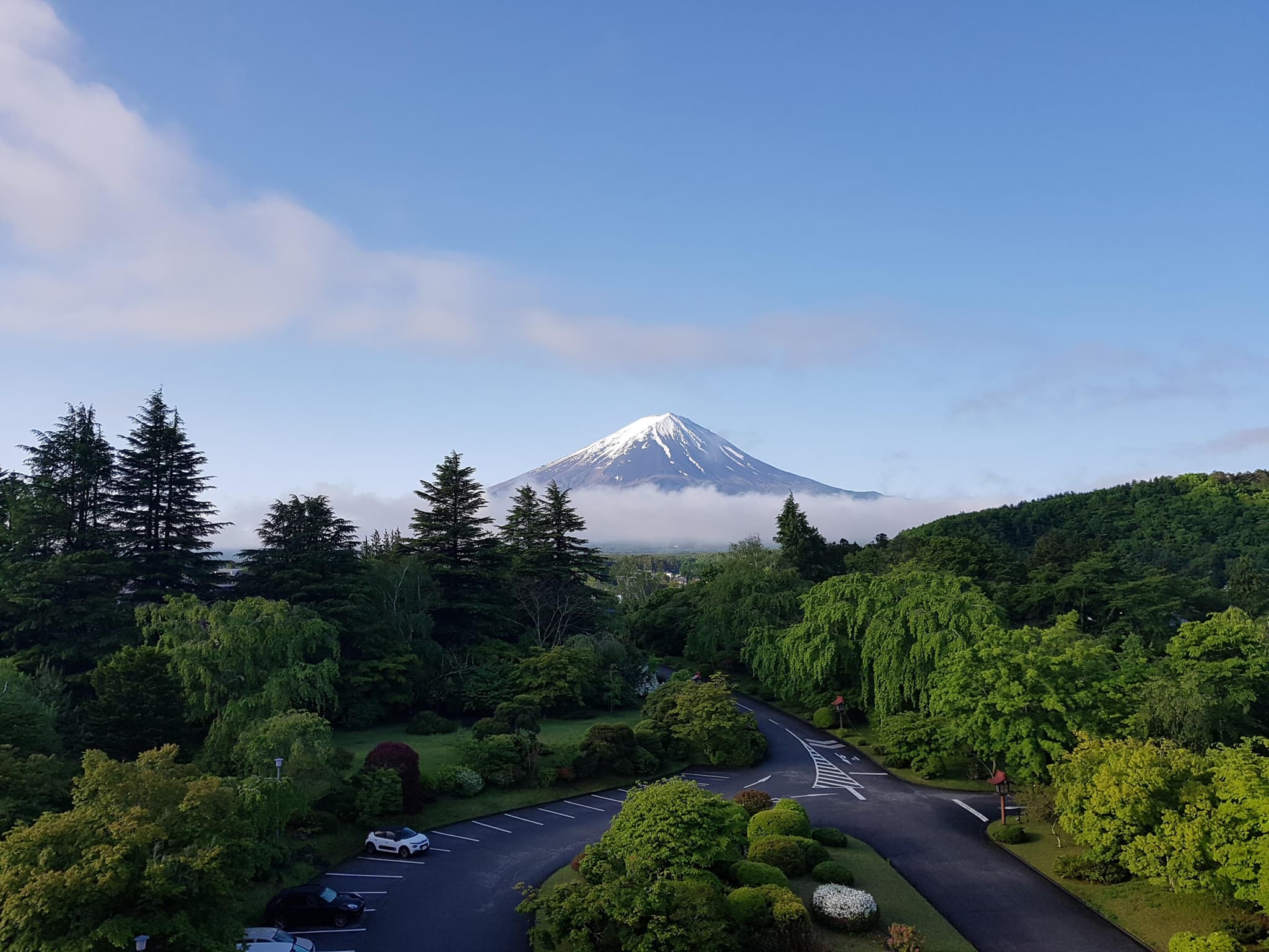 Honshu mount fuji surrounded by trees