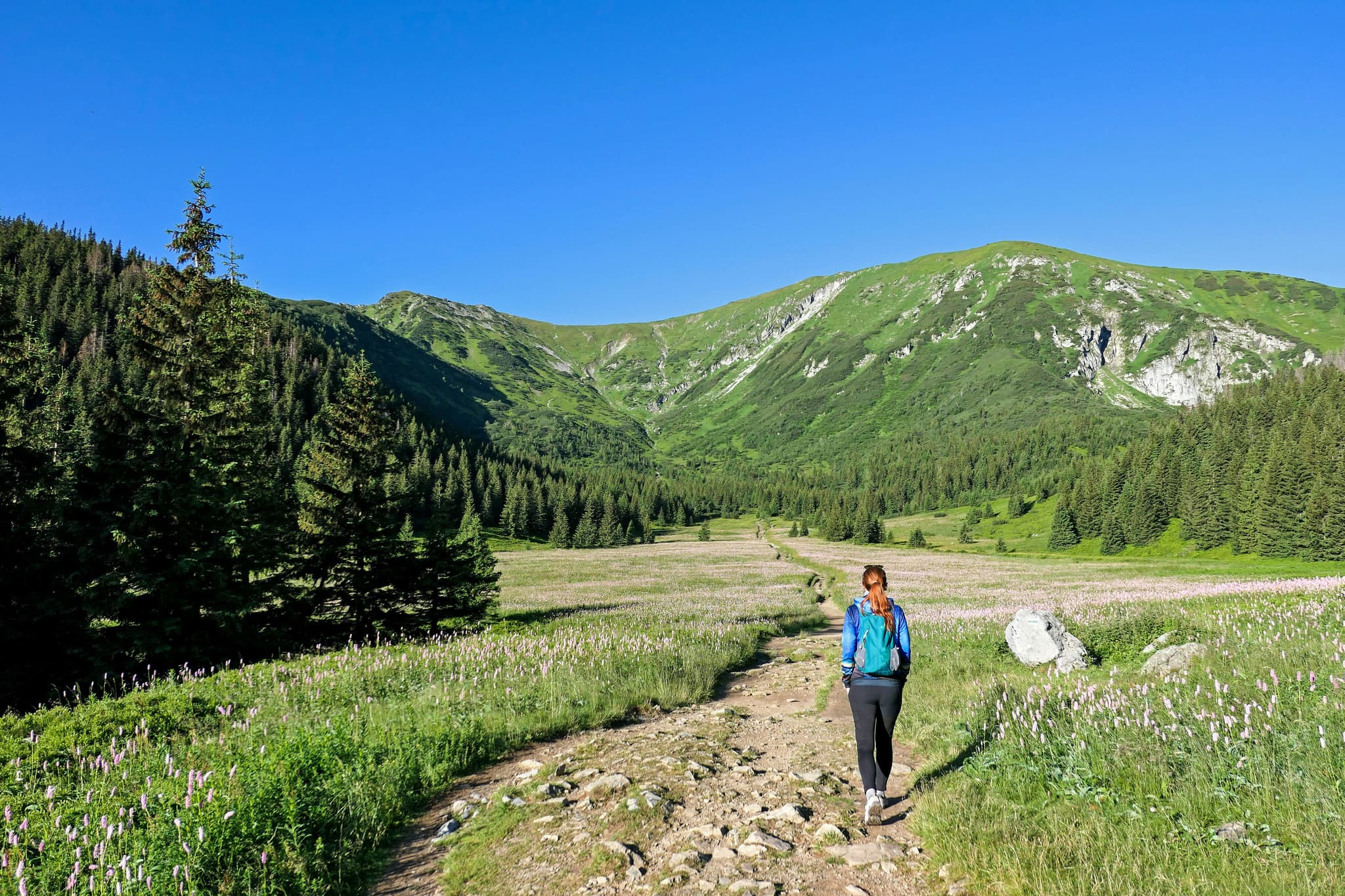 Traveller wearing blue jacket hiking in Zakopane mountains in Poland