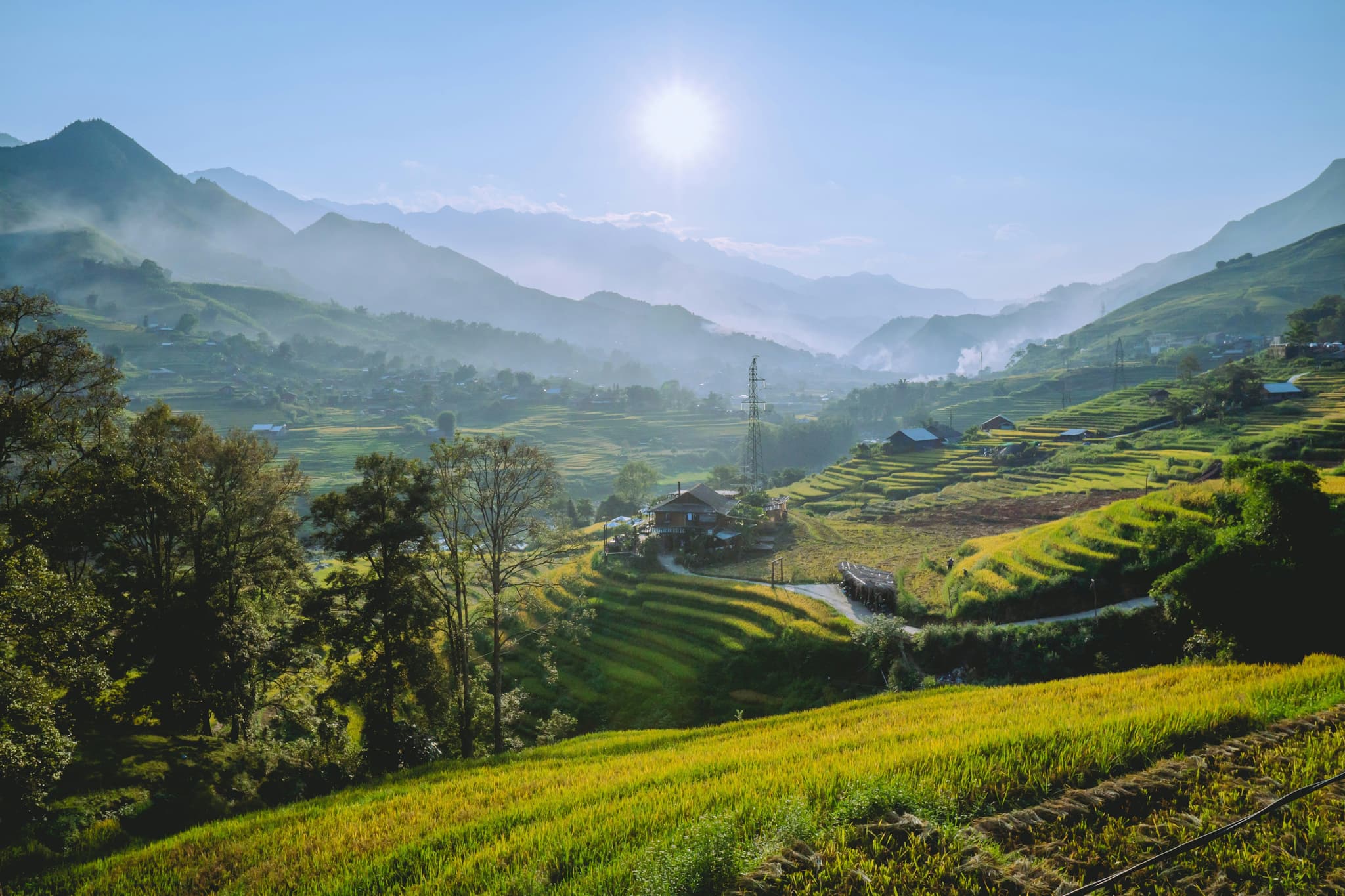 Mountains and rice fields of sapa vietnam