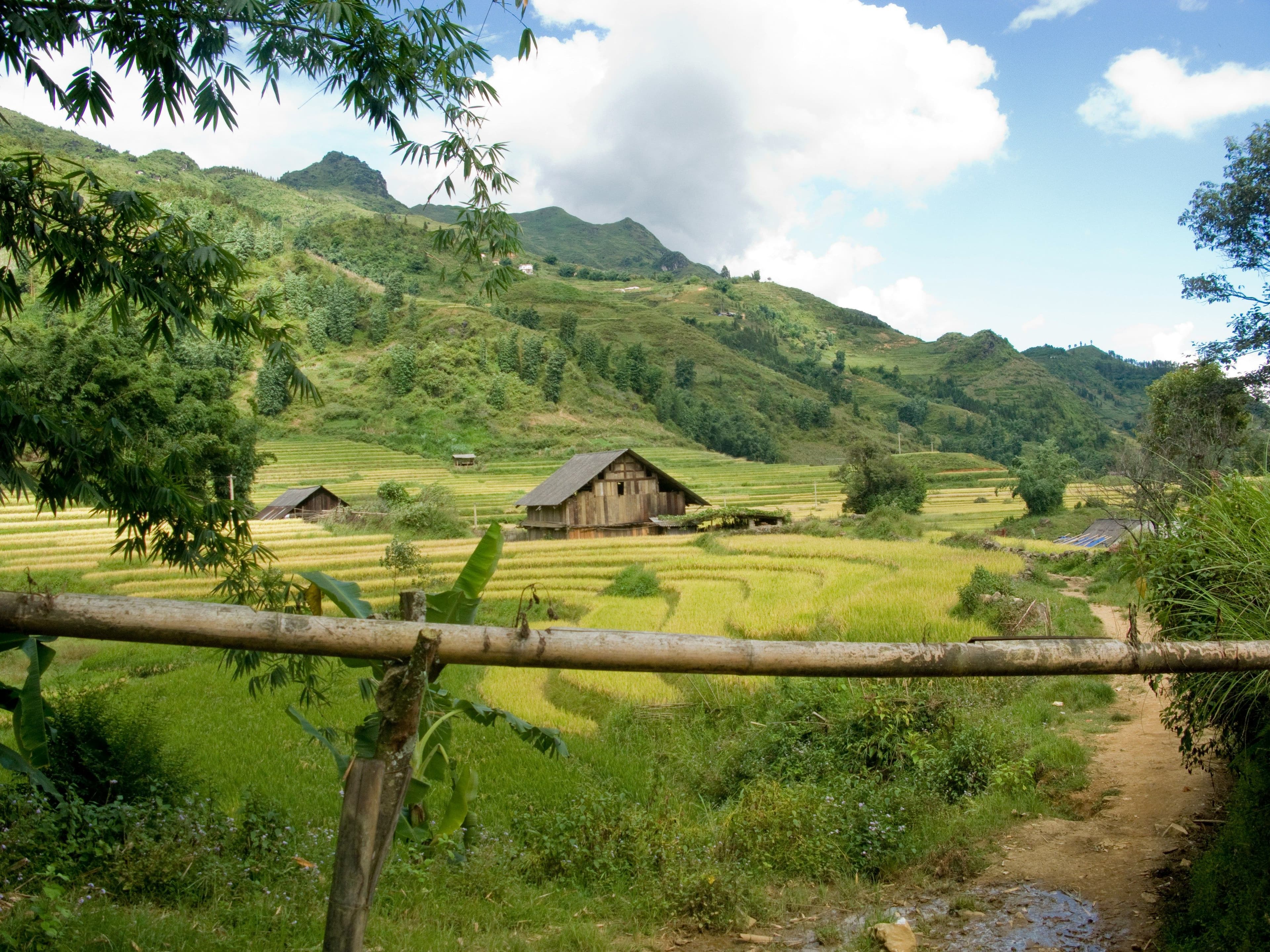 Green area with rice fields and a small cottage