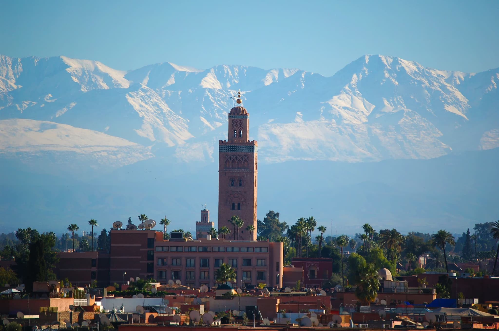 A tall, ornate tower stands in Marrakesh against a backdrop of snow-capped Atlas Mountains, surrounded by lush palm trees under a clear blue sky.