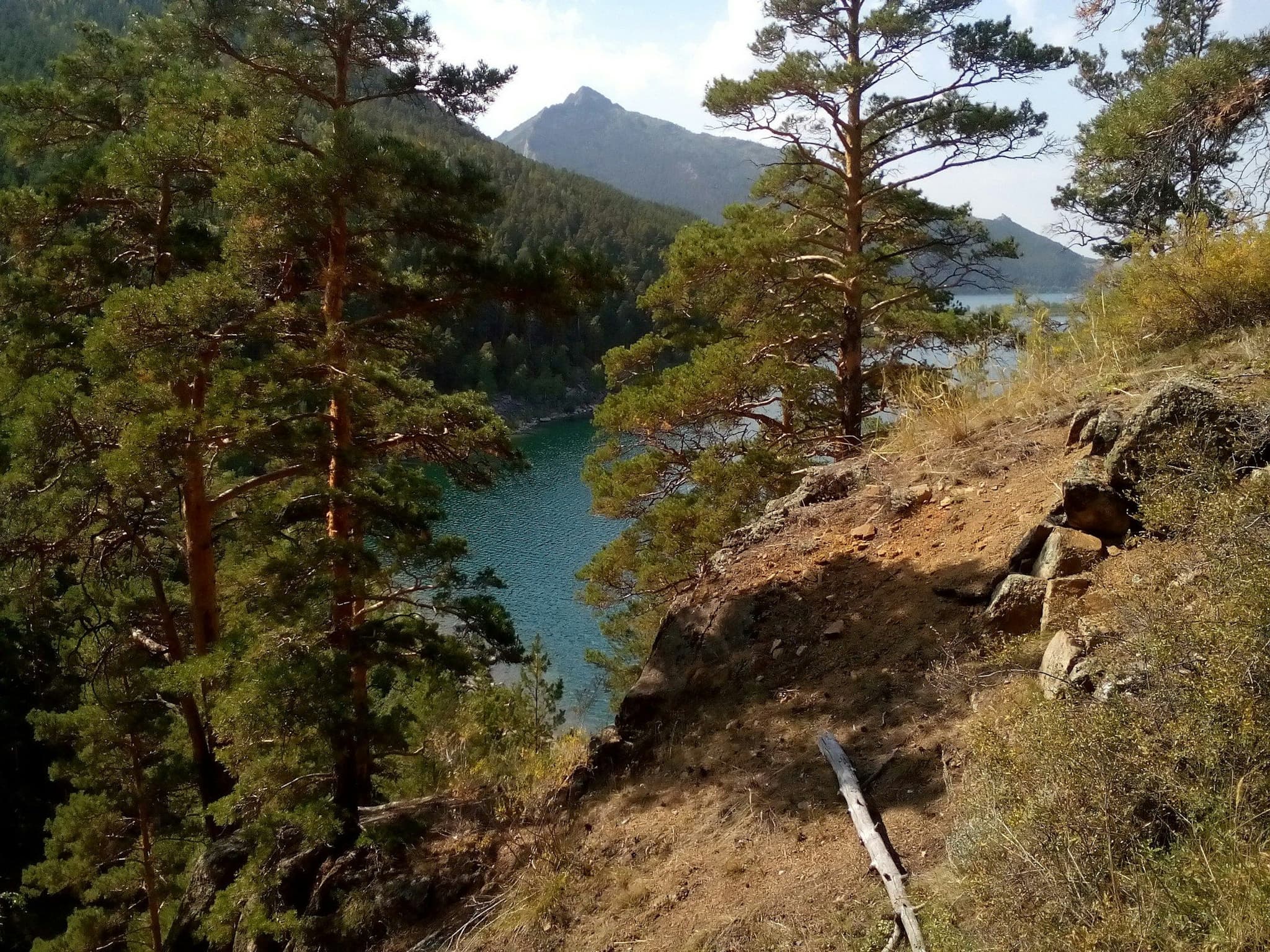 Lake Bolshoye Chebachye framed by pine forest in Burabay