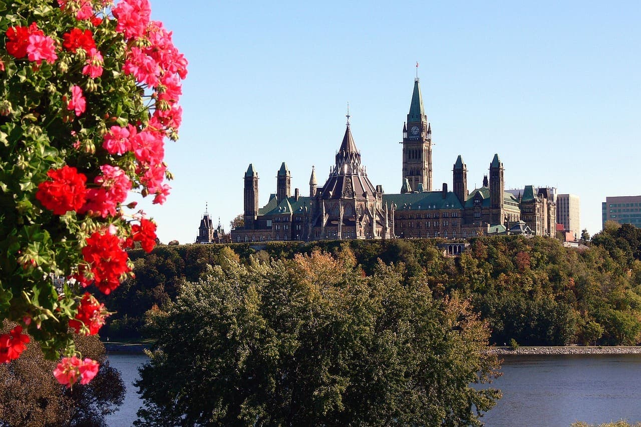 View of Canada’s Parliament buildings in Ottawa across the river with flowers in the foreground.