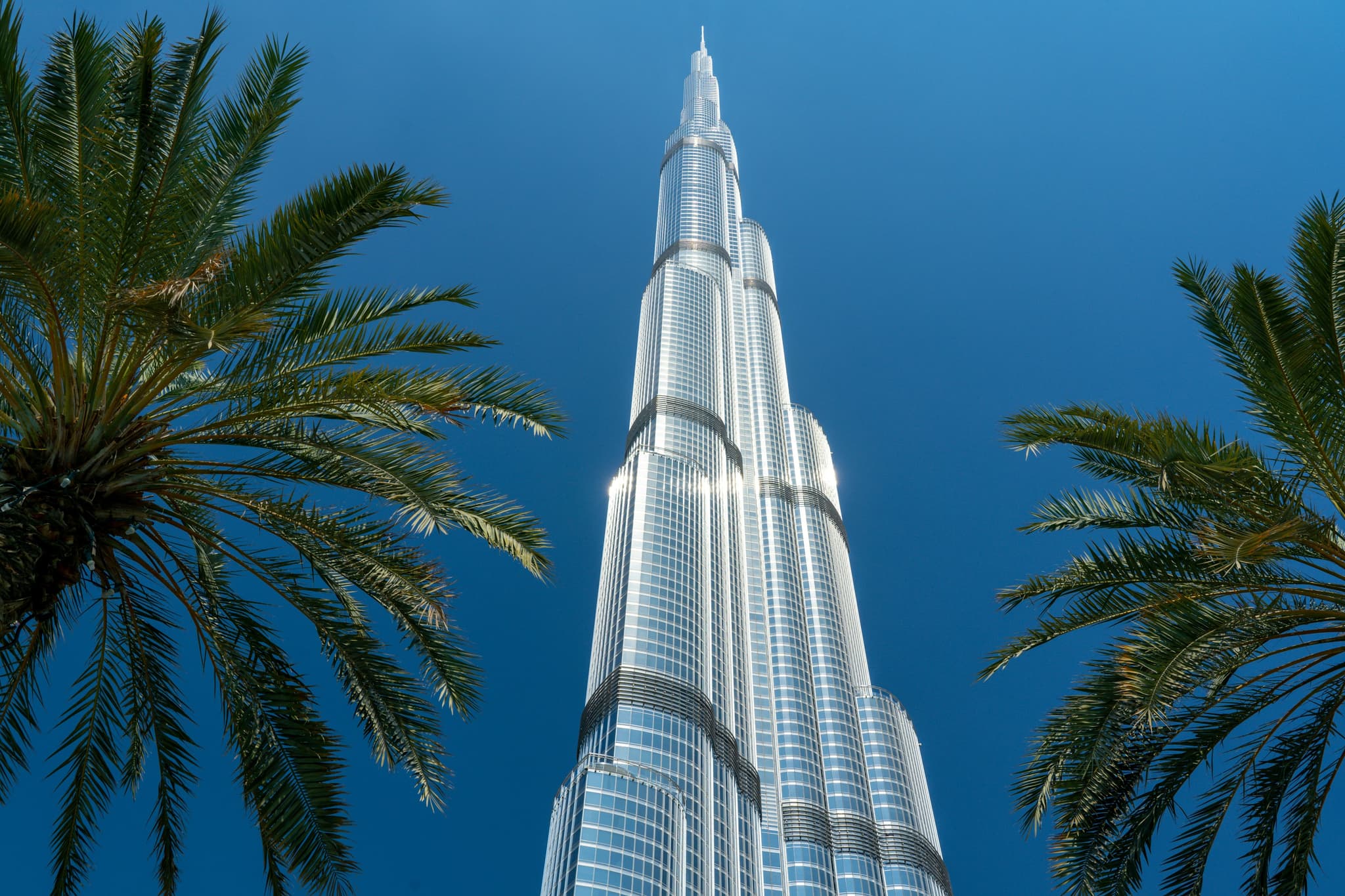 The Burj Khalifa skyscraper and palm trees