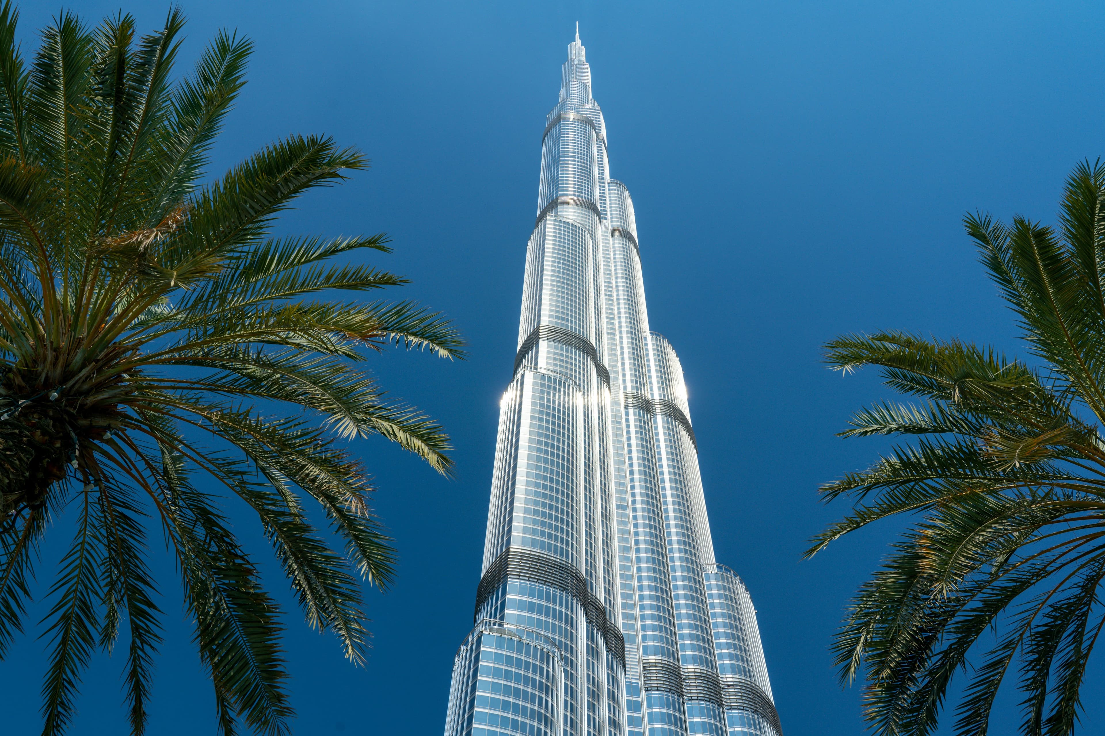 The Burj Khalifa skyscraper and palm trees