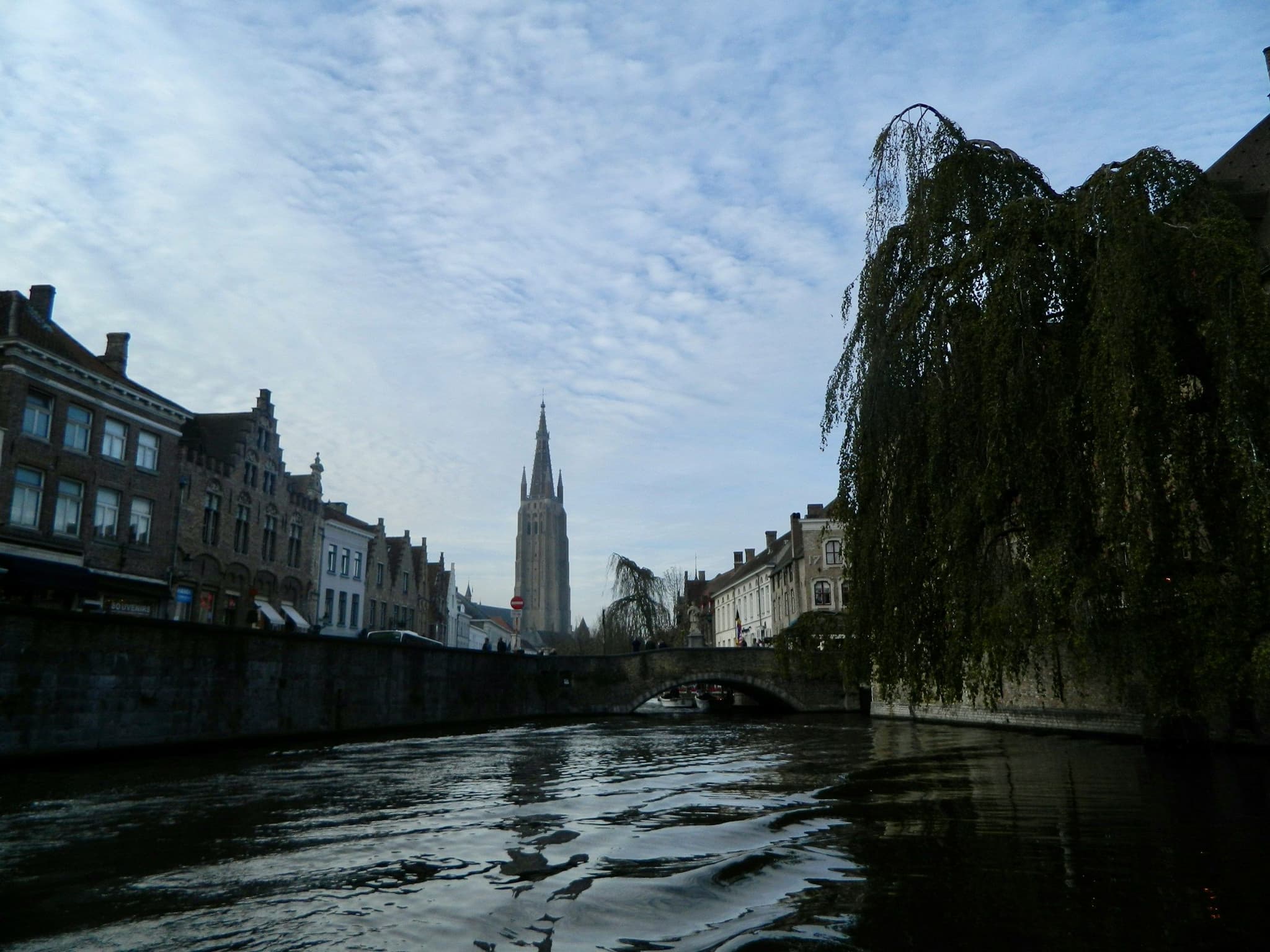 Medieval houses reflected in a canal in Bruges