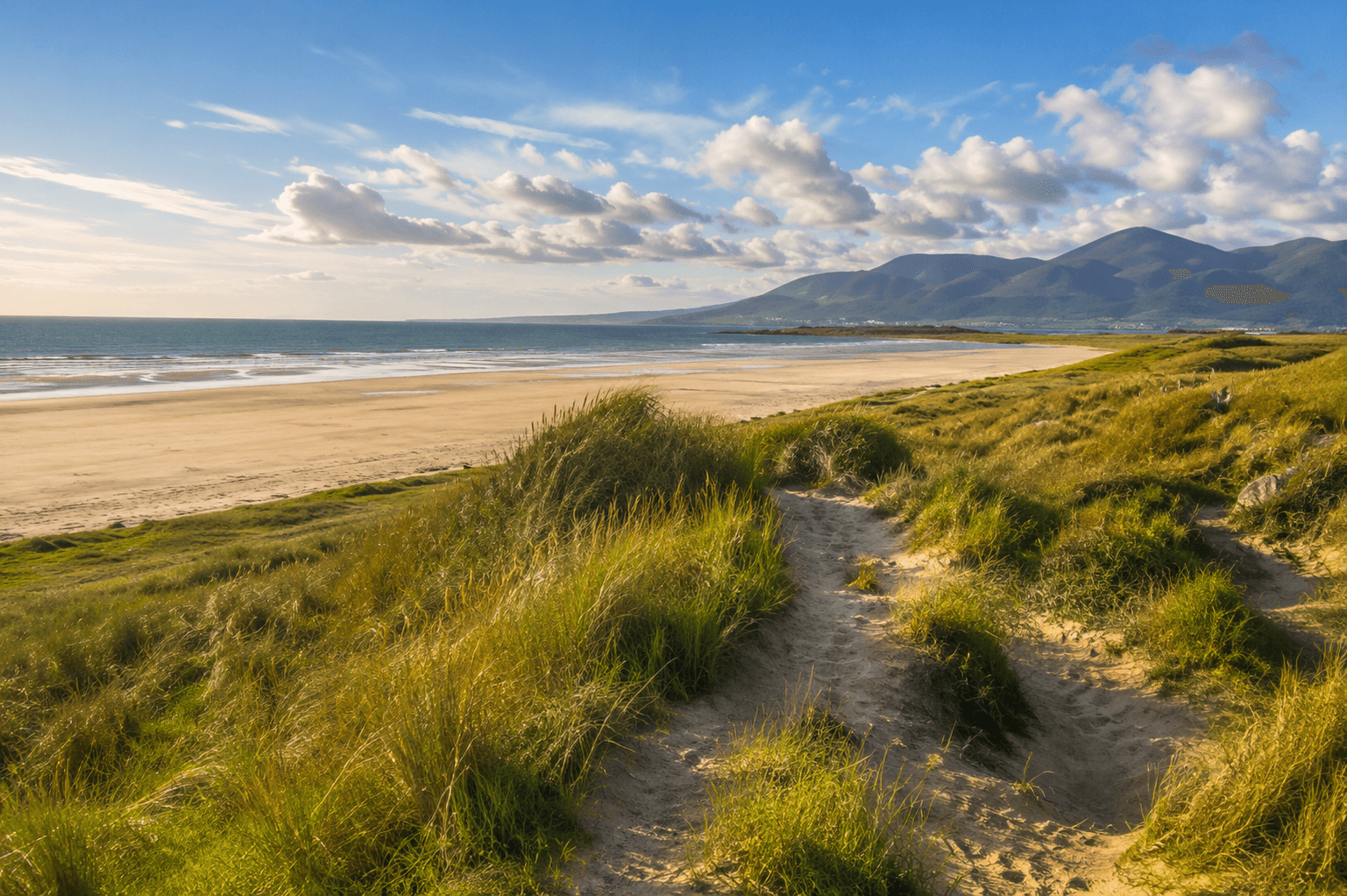 dunes and beach of Tyrella Beach northern ireland
