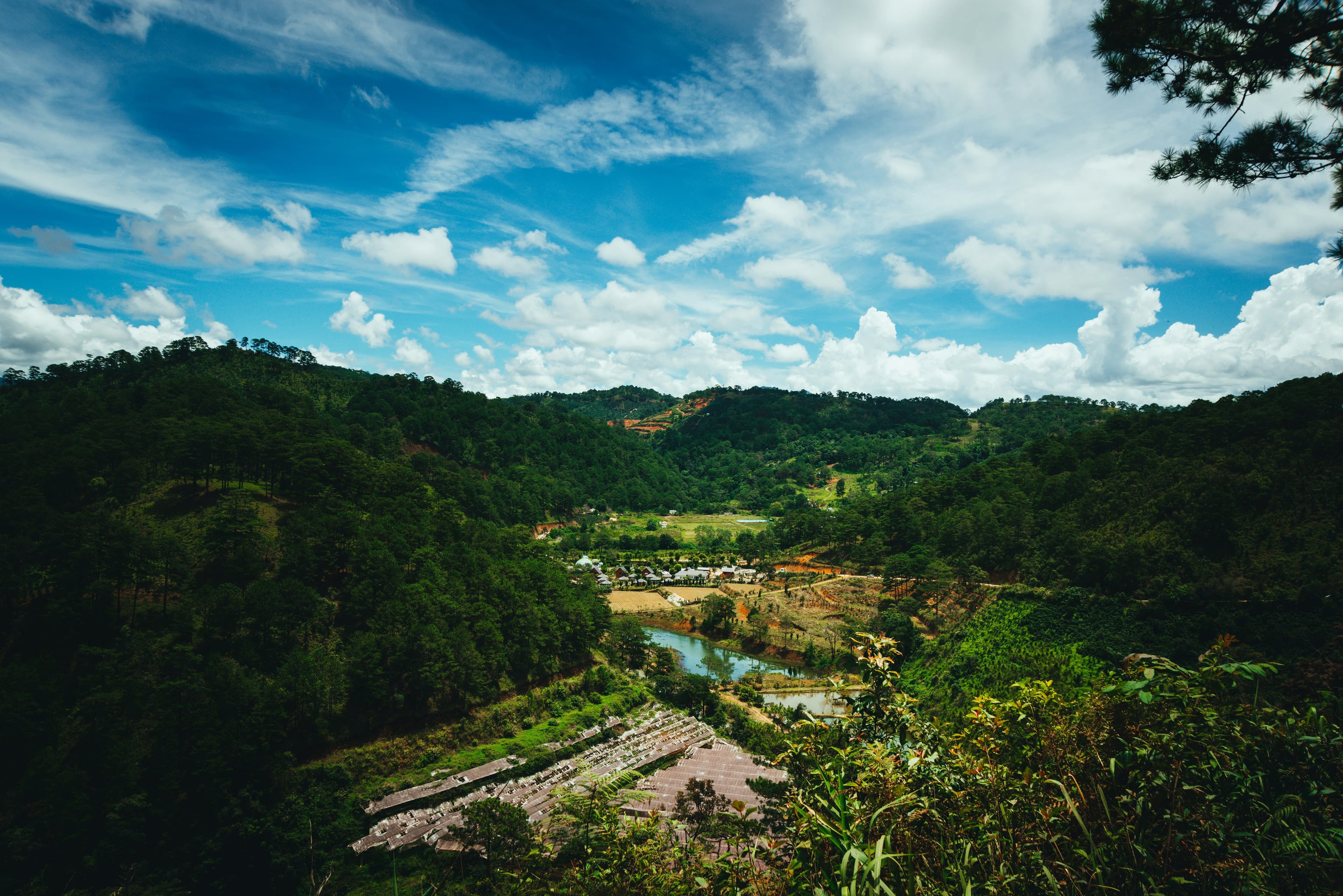 Forest area with mountains in Da Lat vietnam