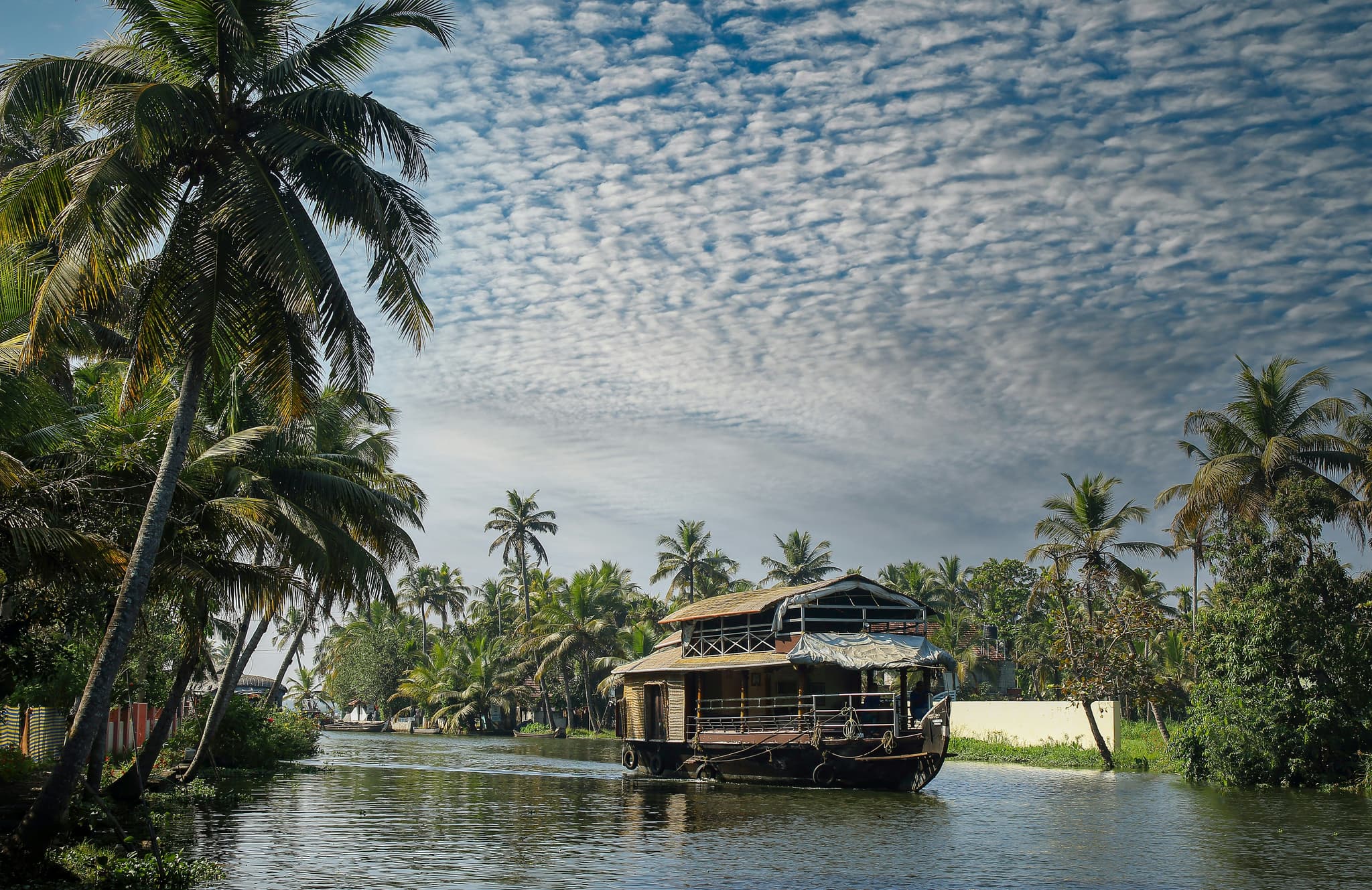 A traditional houseboat cruises the palm-lined backwaters of Alappuzha, Kerala.